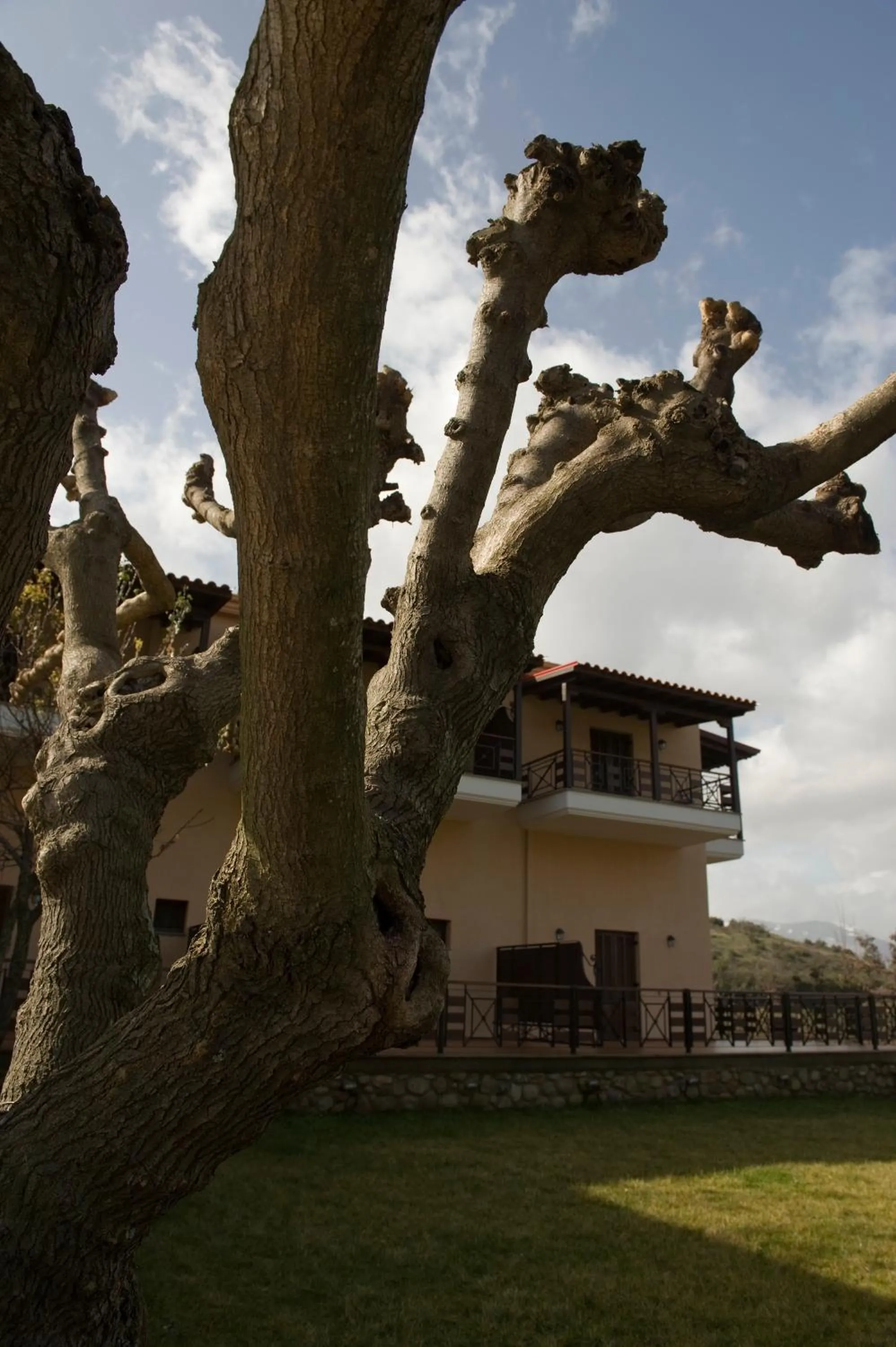 Facade/entrance in Dellas Boutique Hotel