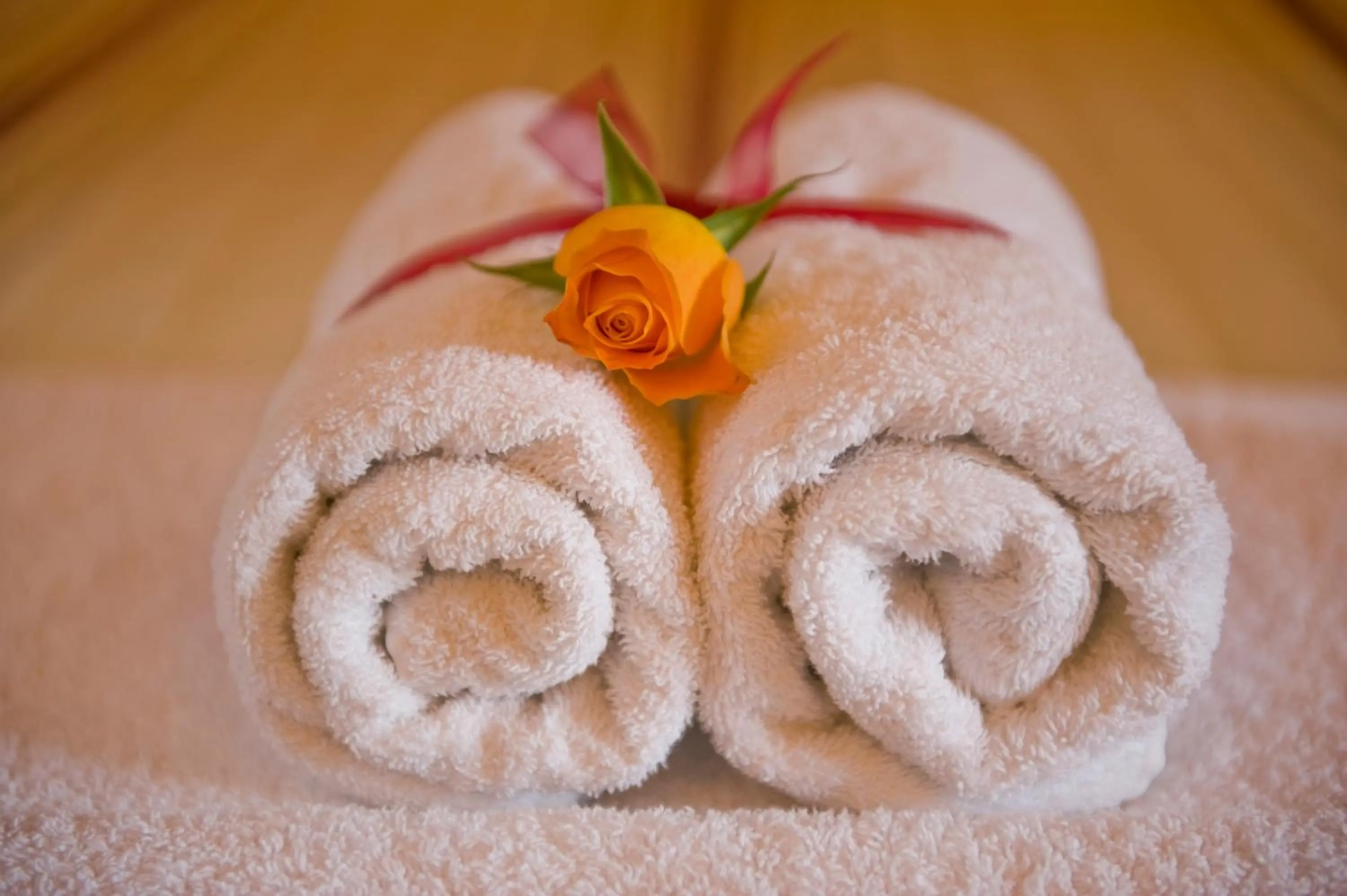 Other in Dellas Boutique Hotel