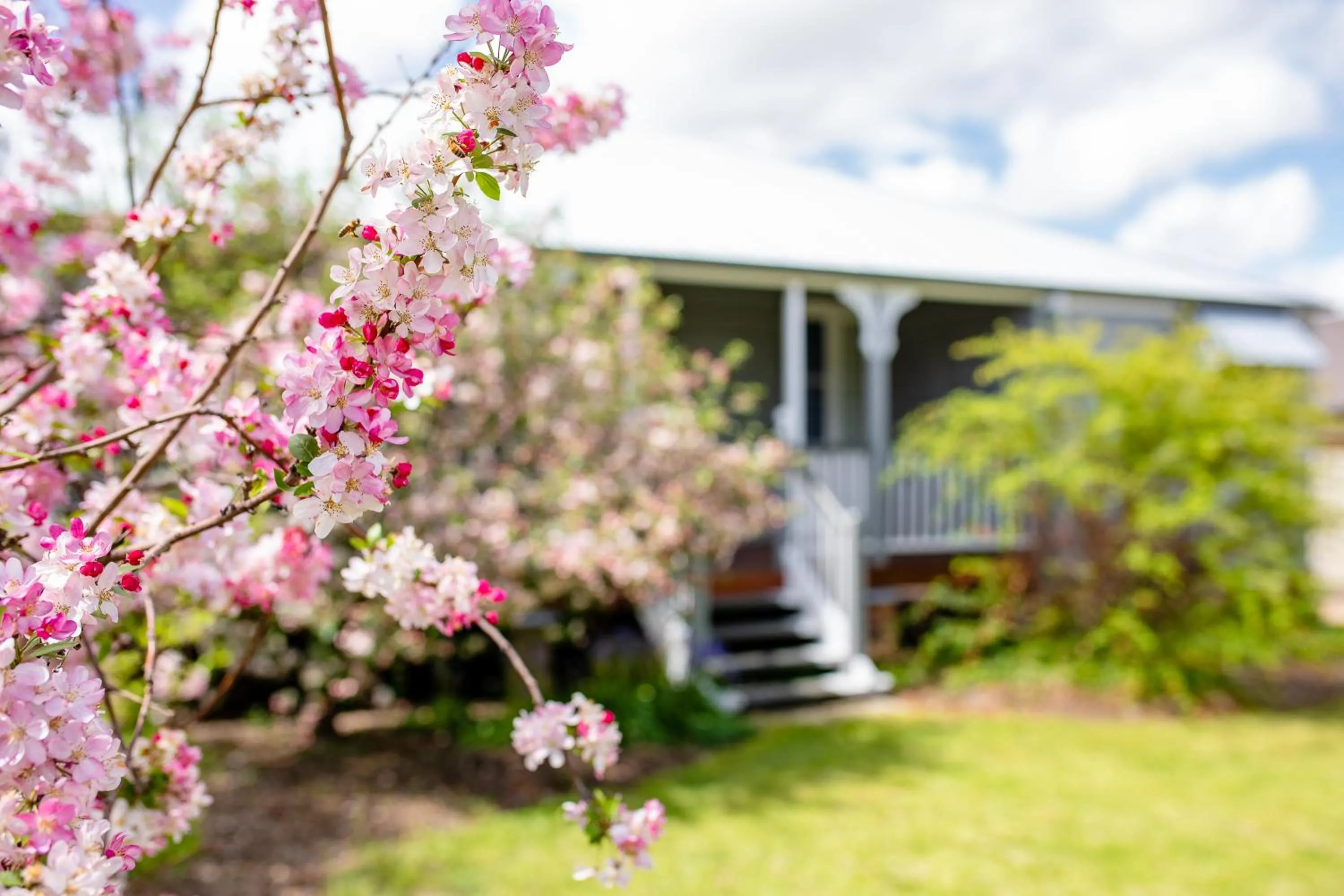 Facade/entrance in Apple Blossom Cottages