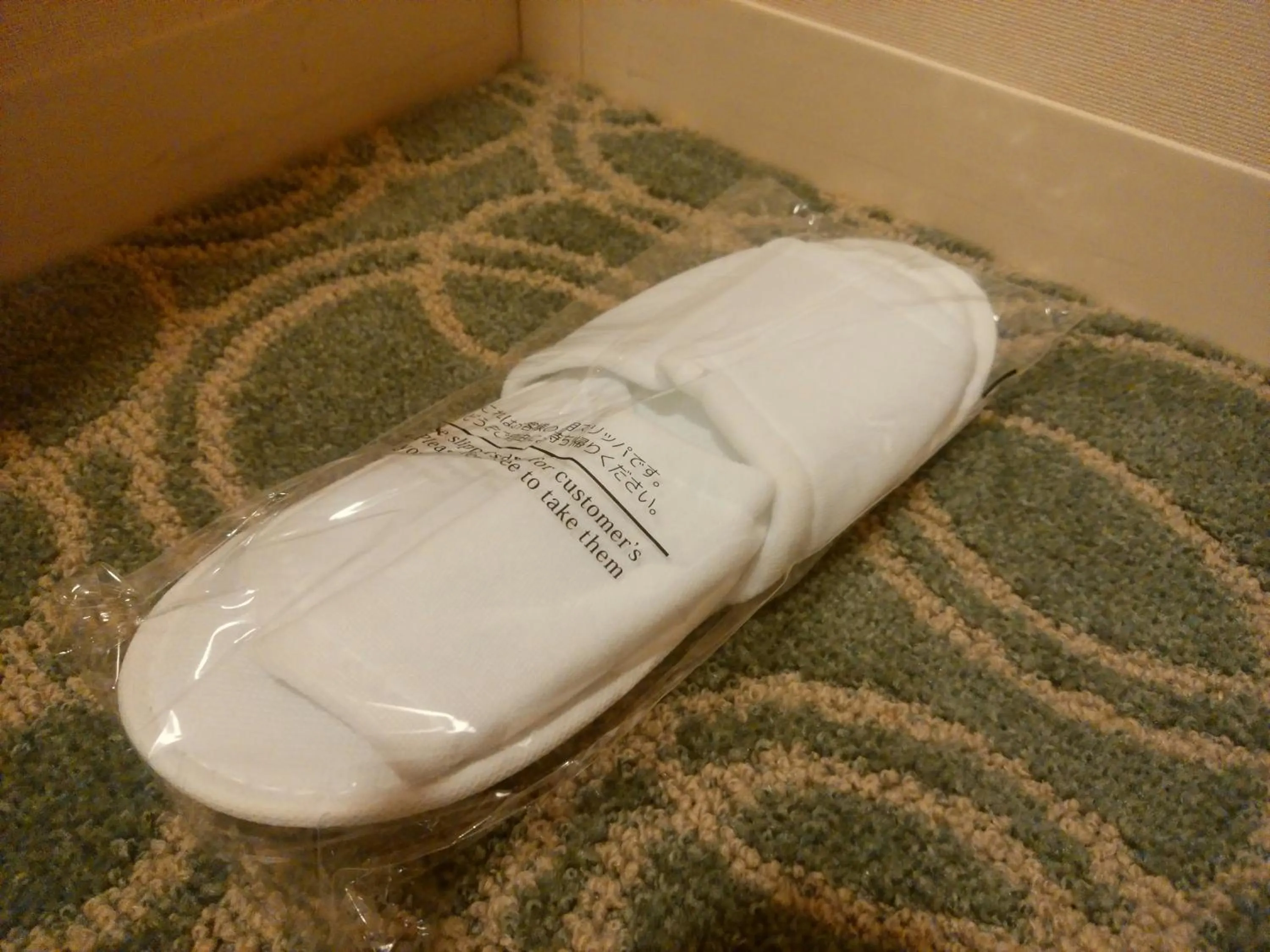 Decorative detail in JR Hotel Clement Tokushima