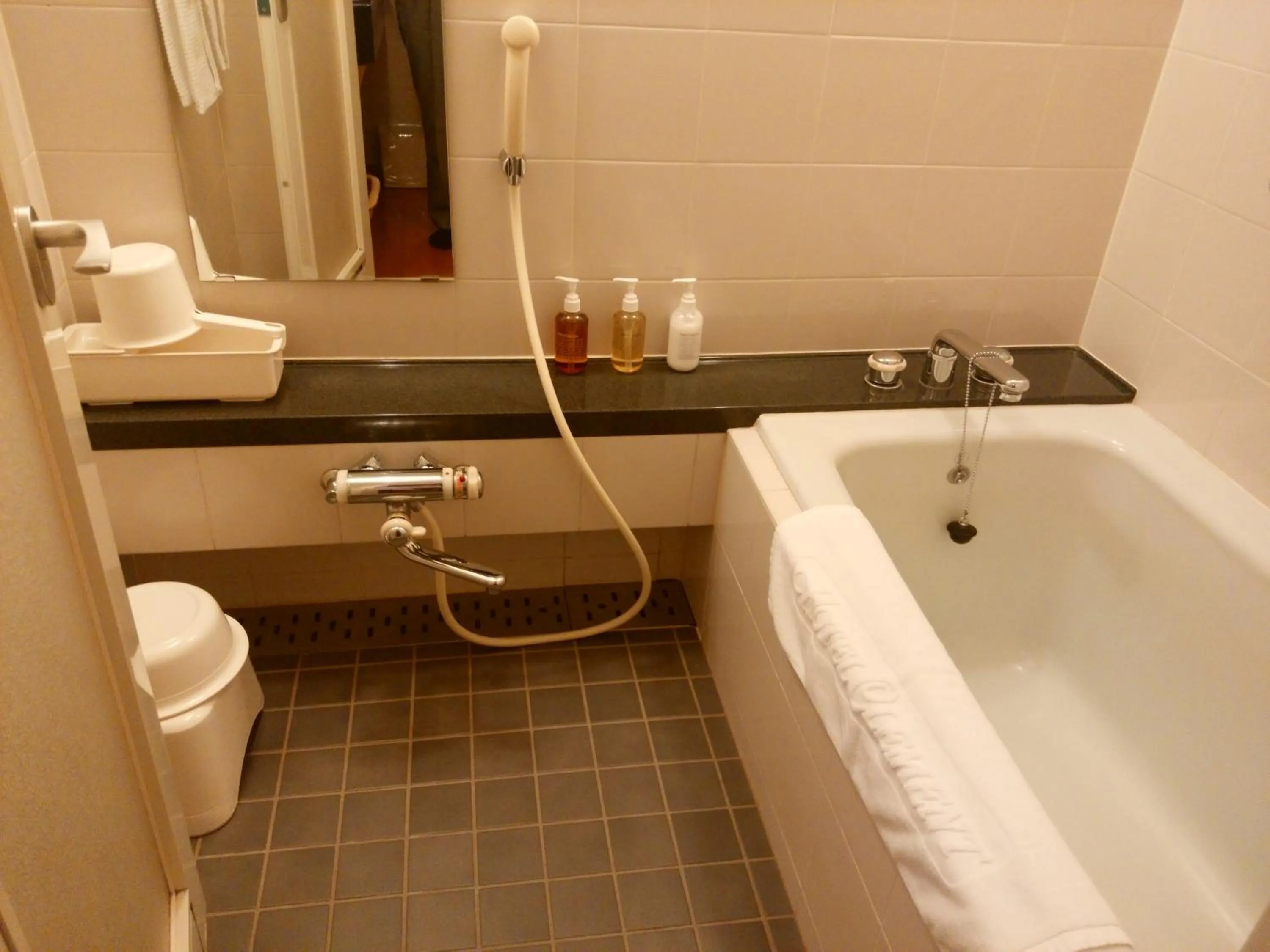 Shower in JR Hotel Clement Tokushima