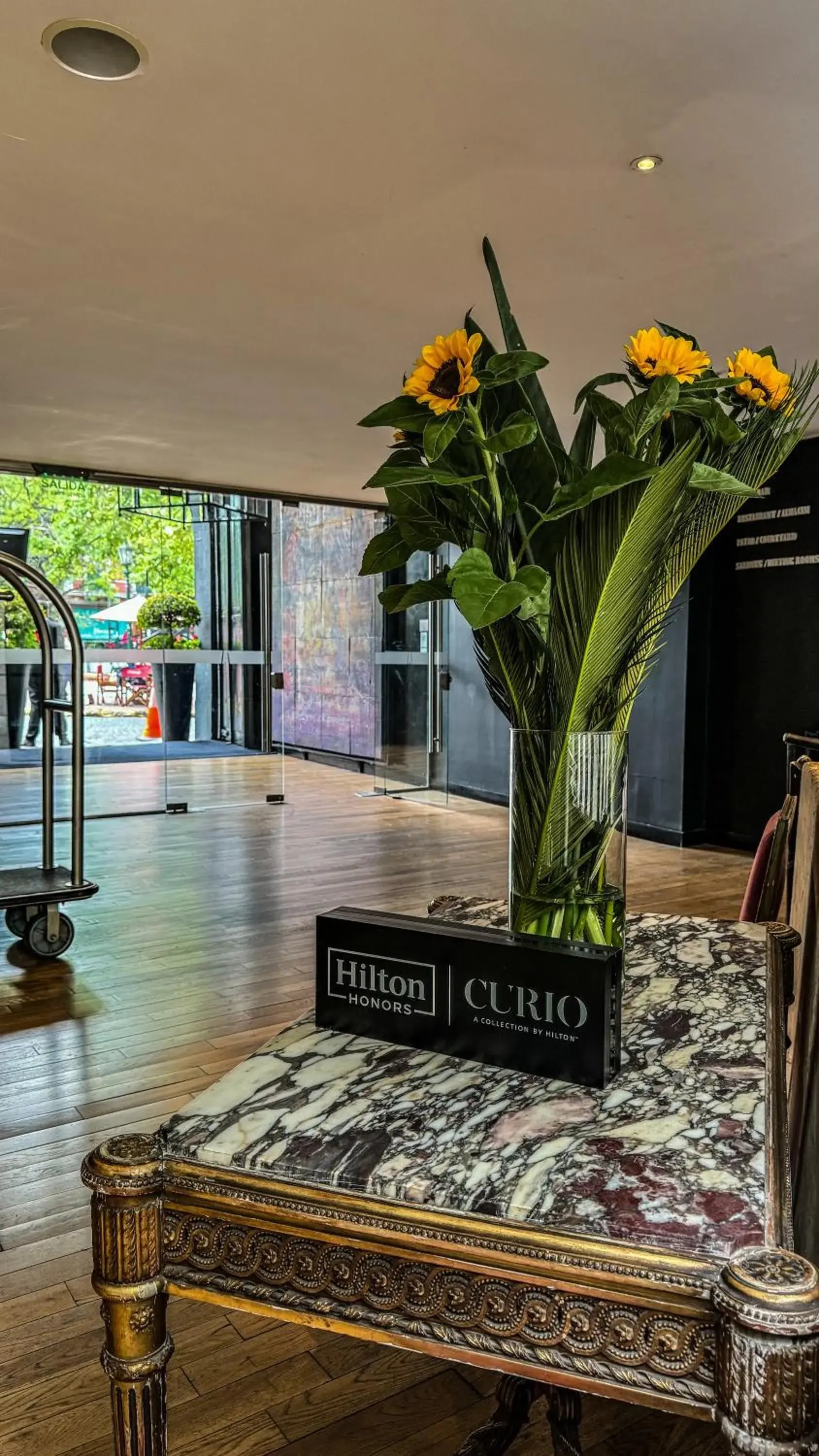Lobby or reception in Anselmo Buenos Aires, Curio Collection by Hilton Lobby or reception in Anselmo Buenos Aires, Curio Collection by Hilton