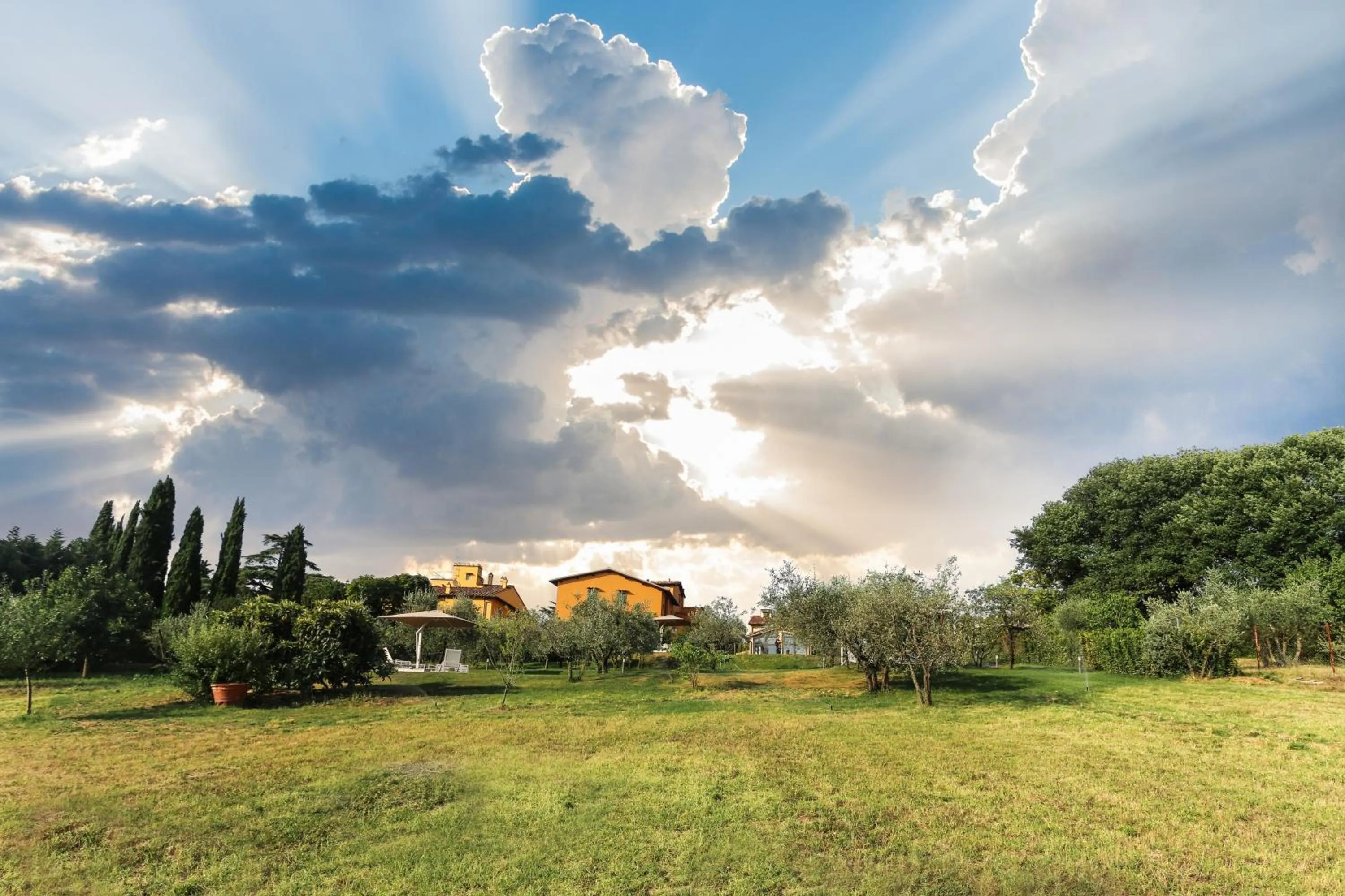 Garden in Poggio Baronti B&B
