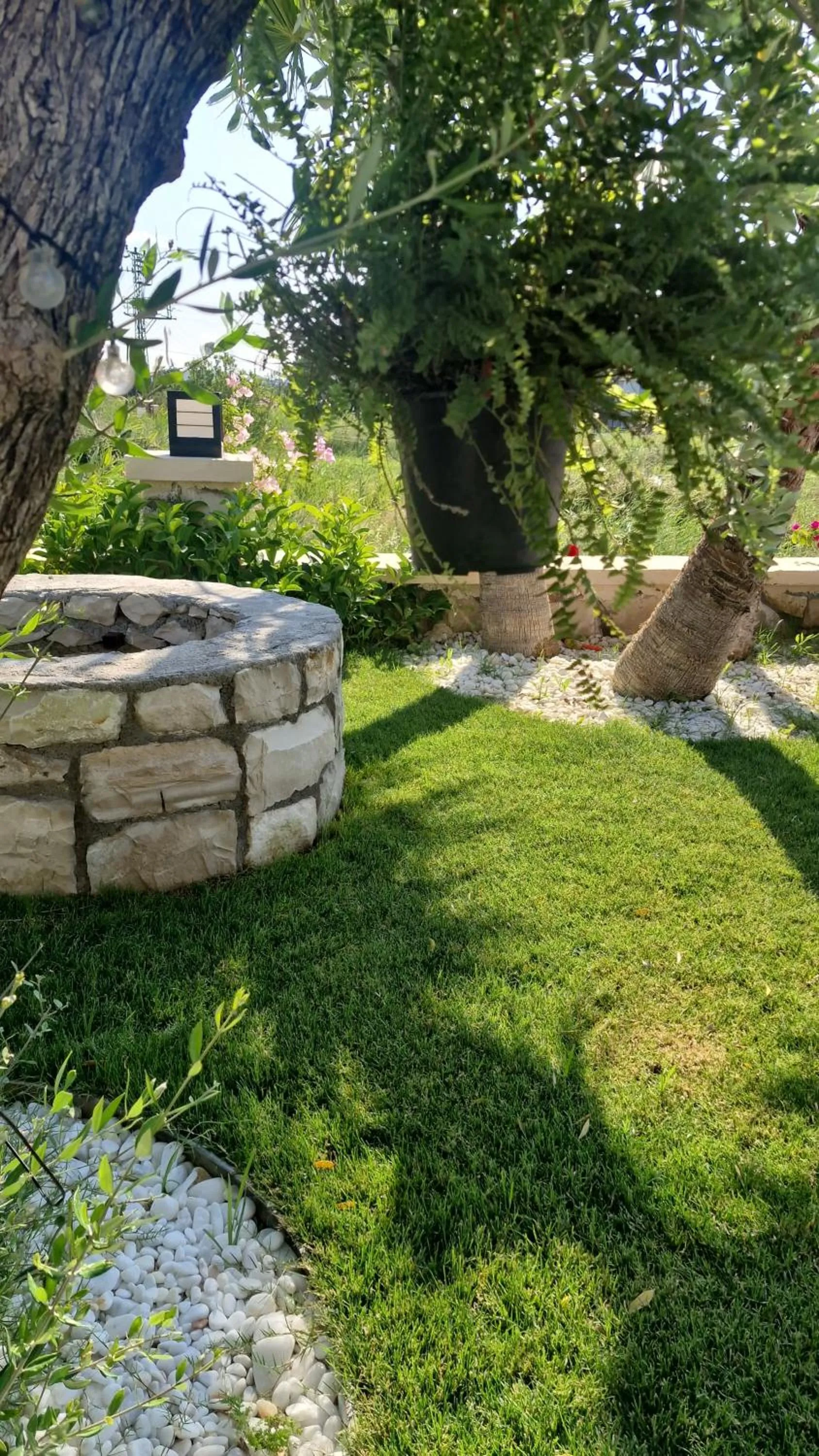 Garden in Velder House Urla