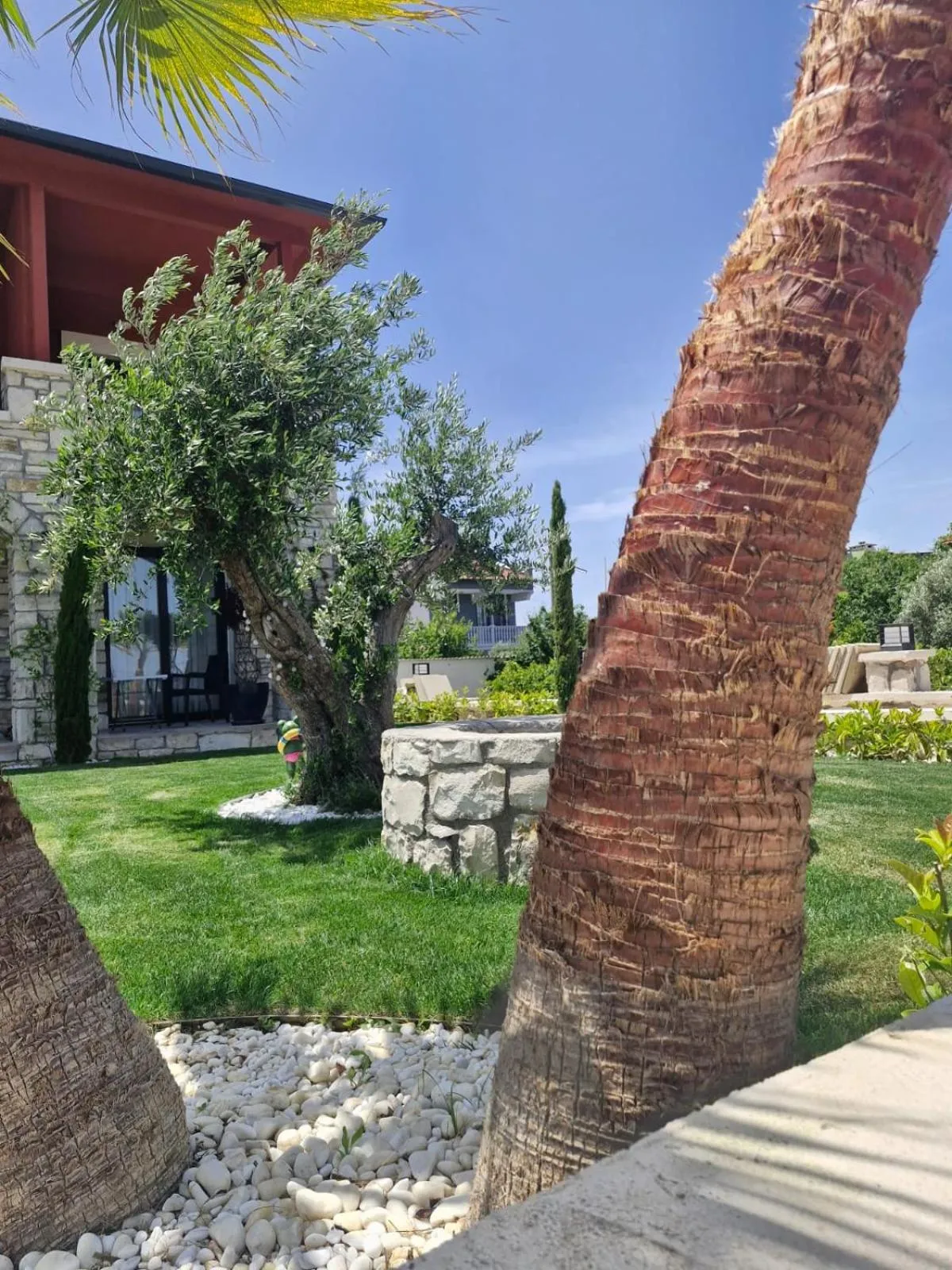 Spring in Velder House Urla