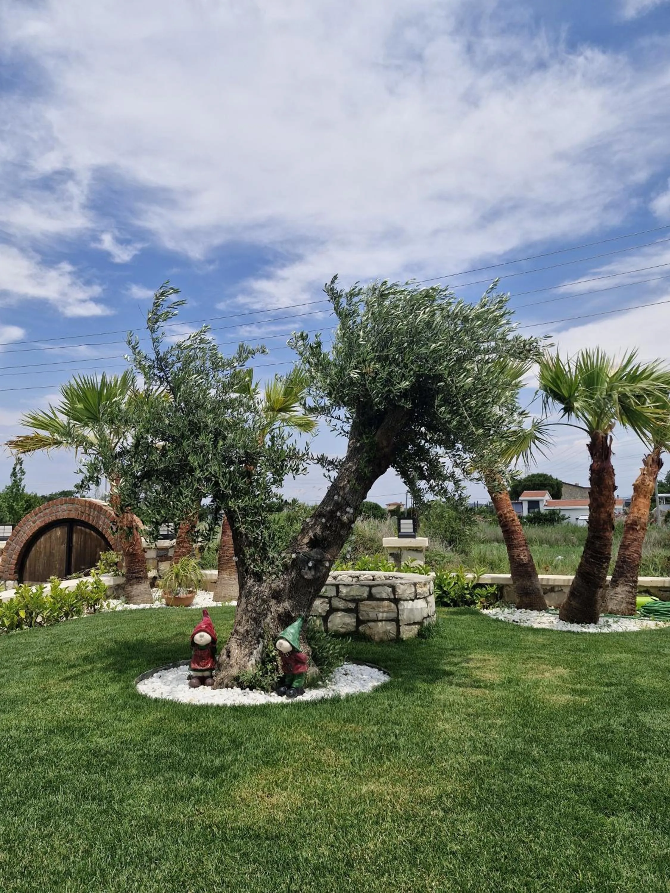 Garden in Velder House Urla