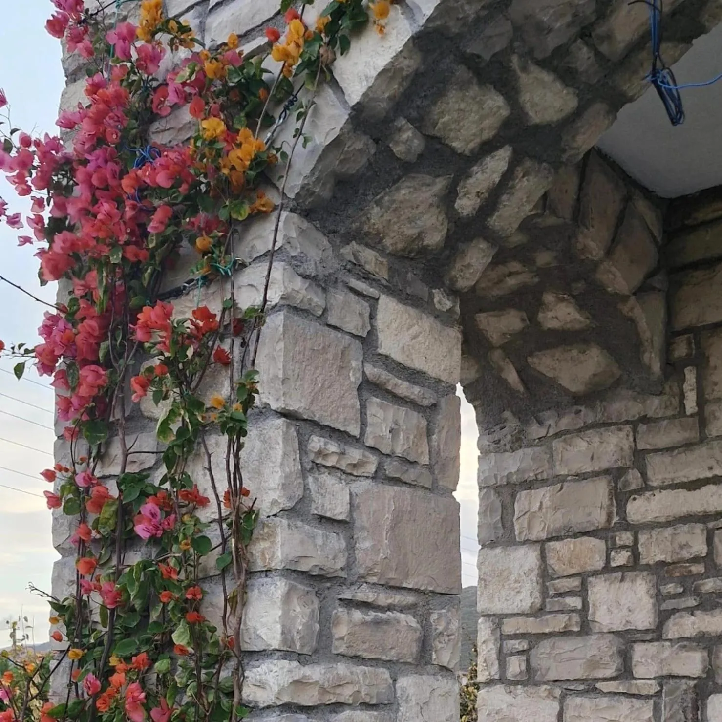 Day in Velder House Urla