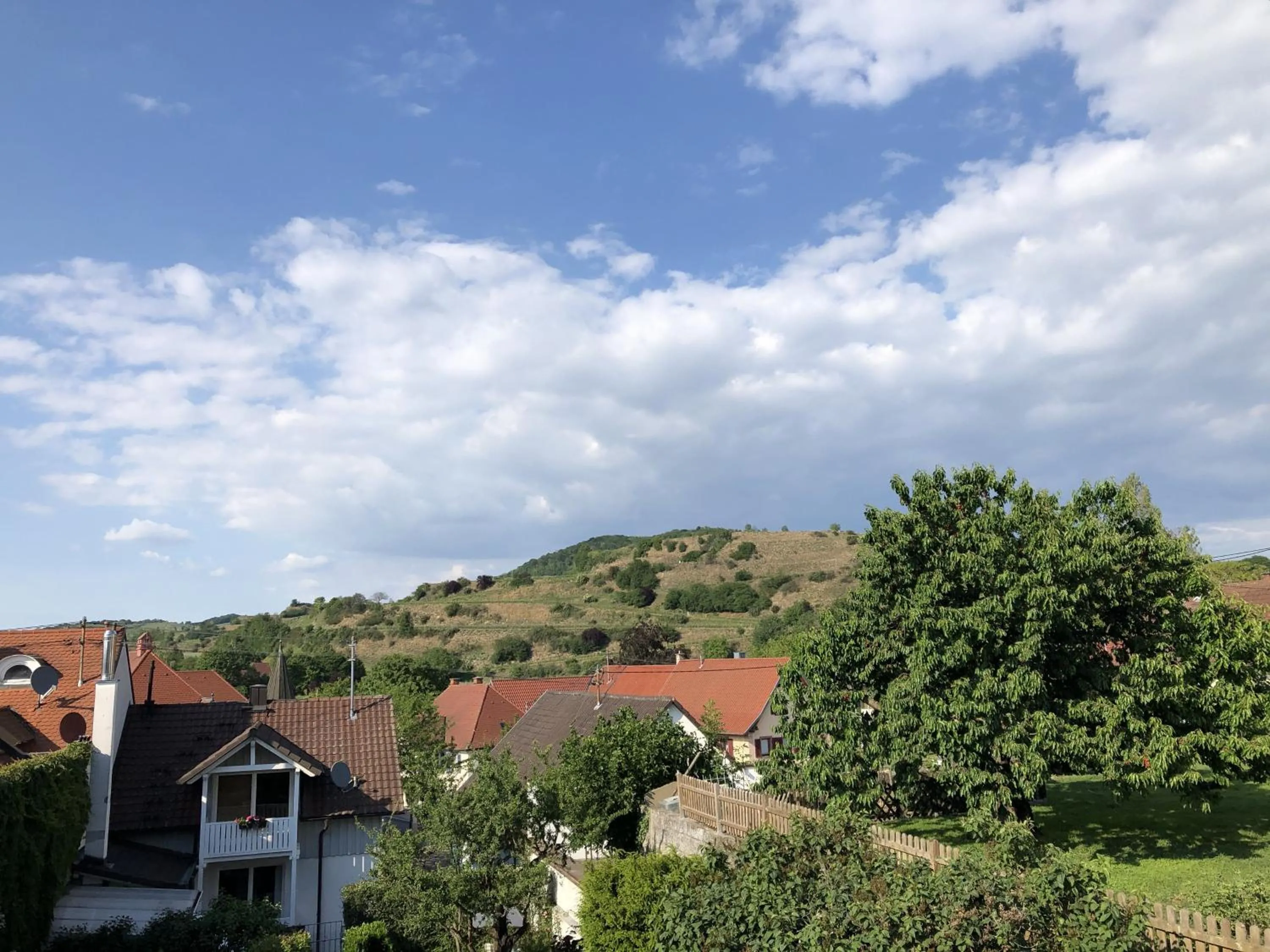 Garden view in Ferienhaus Irene
