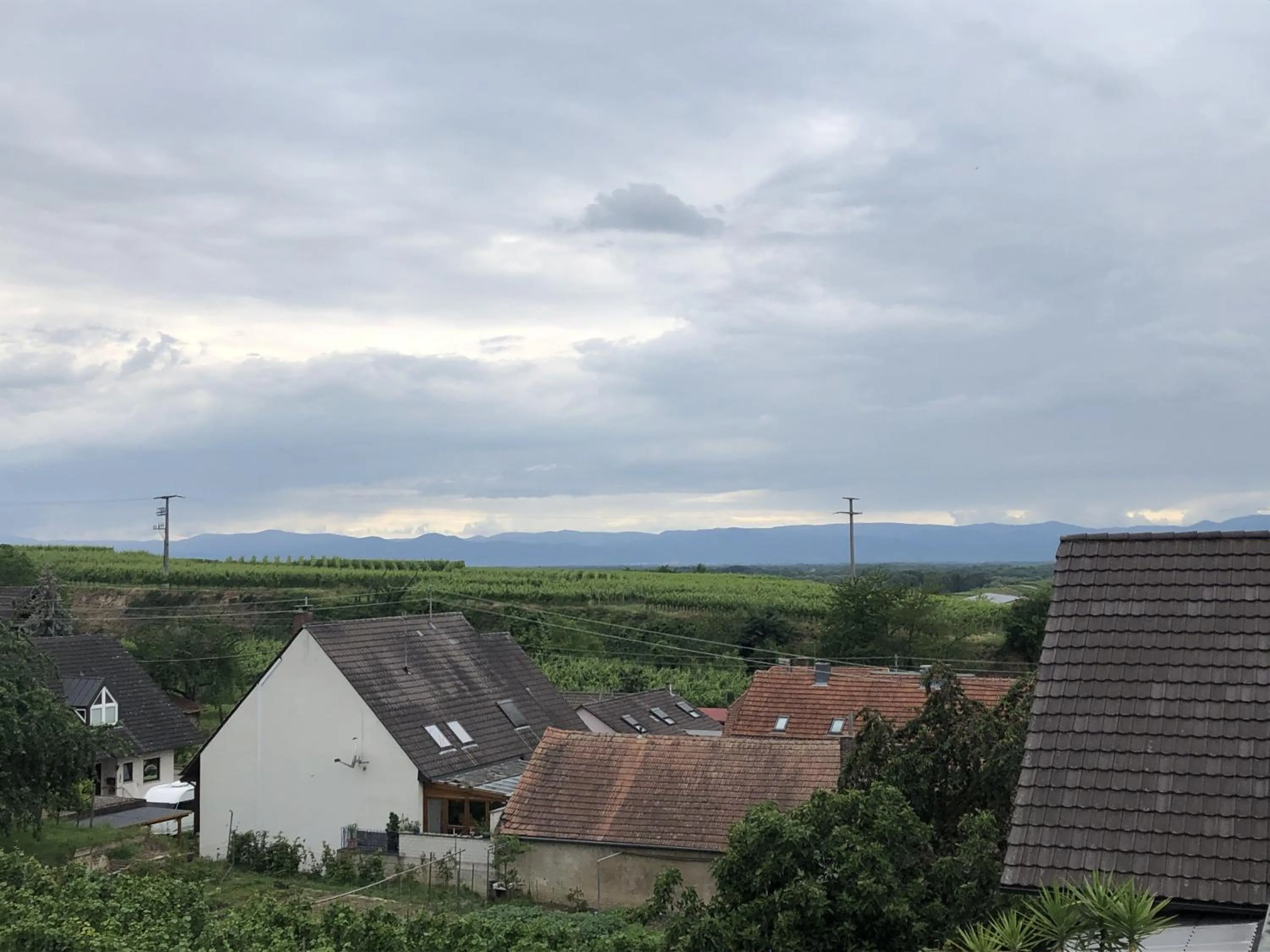 Garden view in Ferienhaus Irene