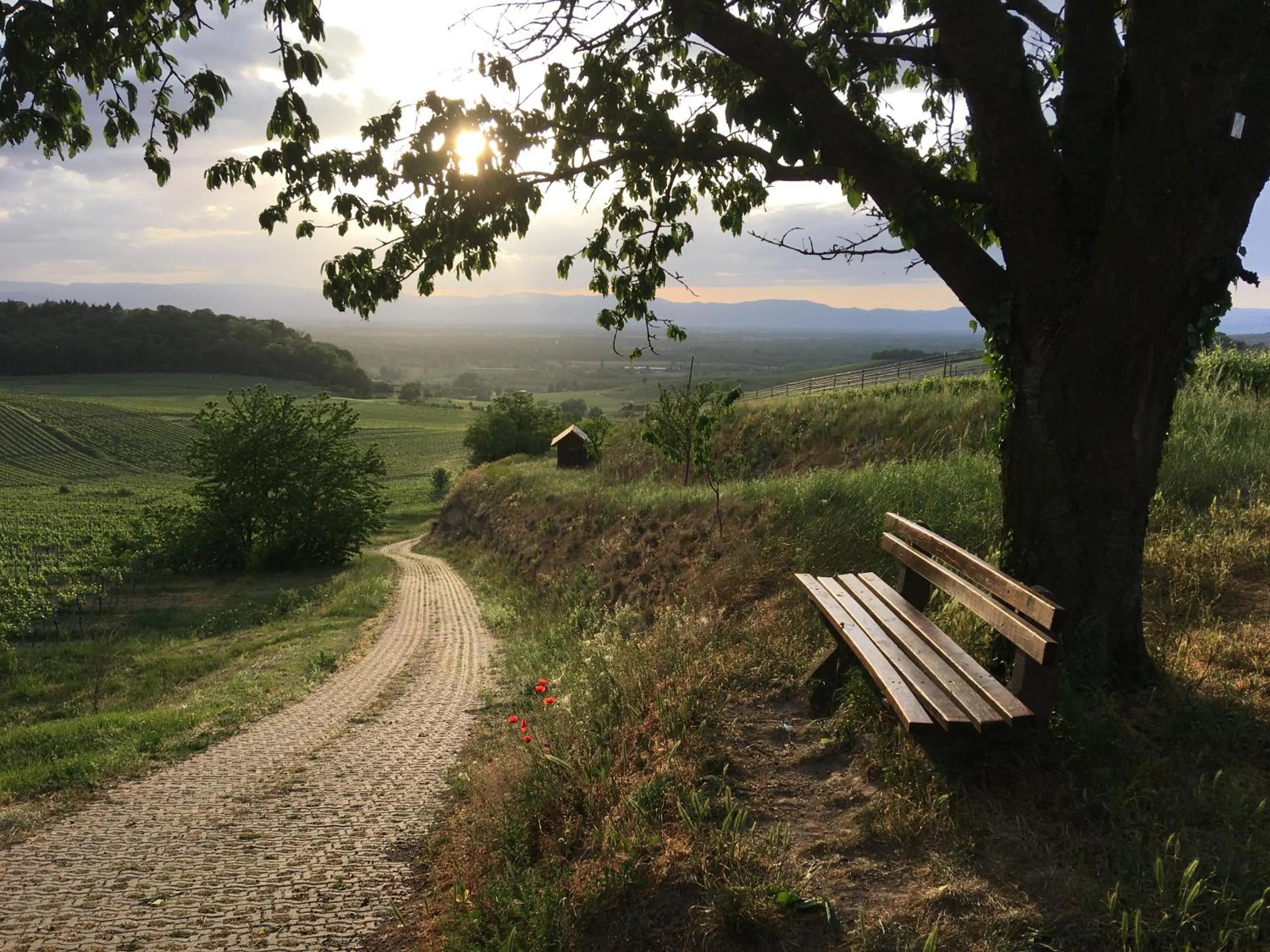 Natural landscape in Ferienhaus Irene