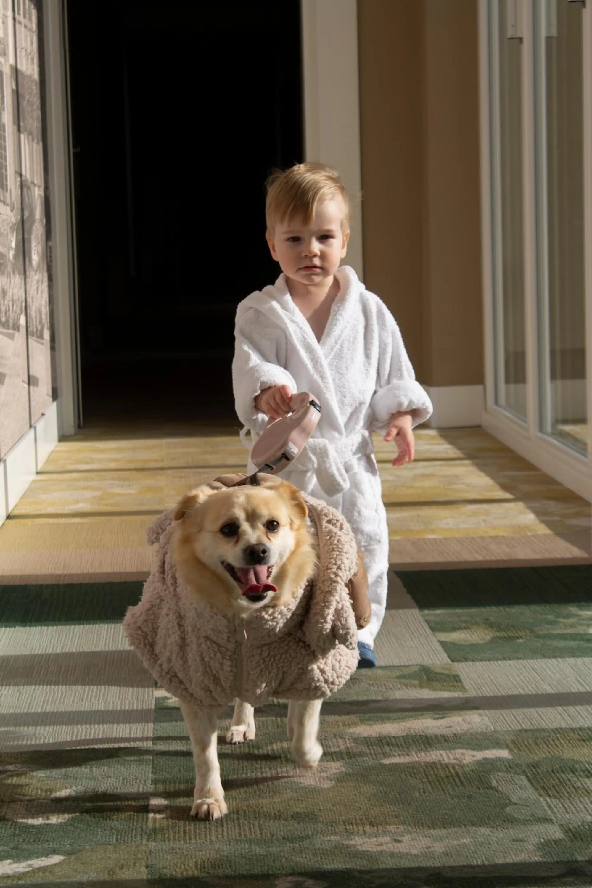 Pets in Hotel & Spa Trzy Wyspy