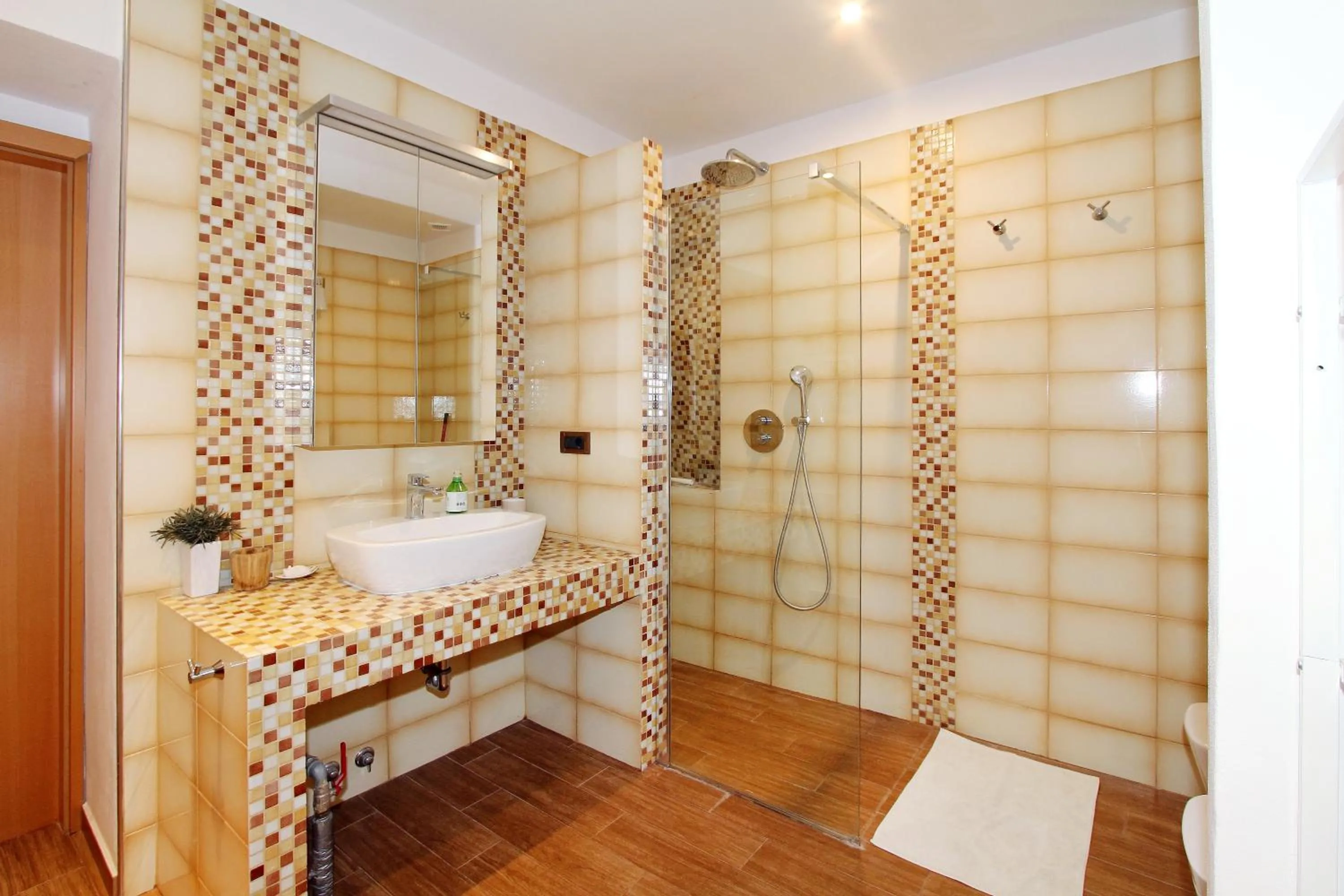 Shower in Apartment Dezo Istria