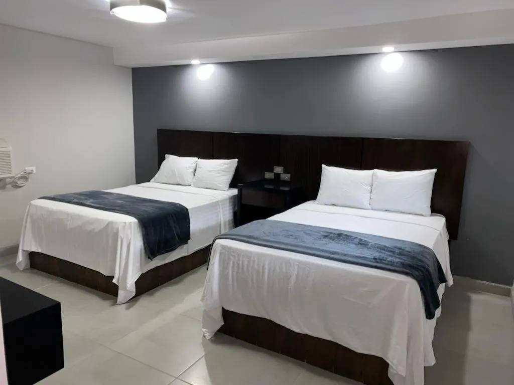 Deluxe Twin Room in Hotel Señorial