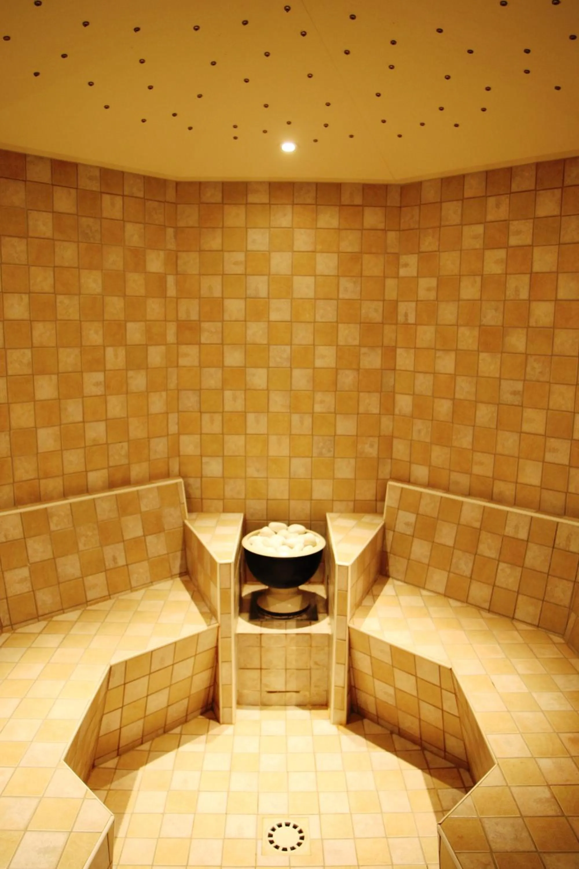 Steam room in HOTEL Bioterme Mala Nedelja