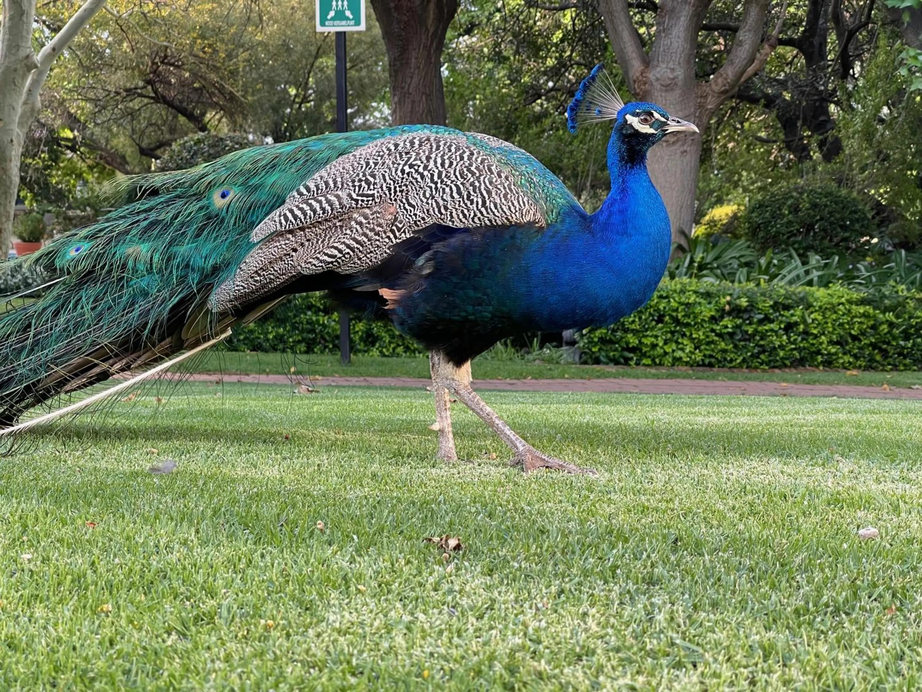 Spring in Black Eagle Hotel & Spa