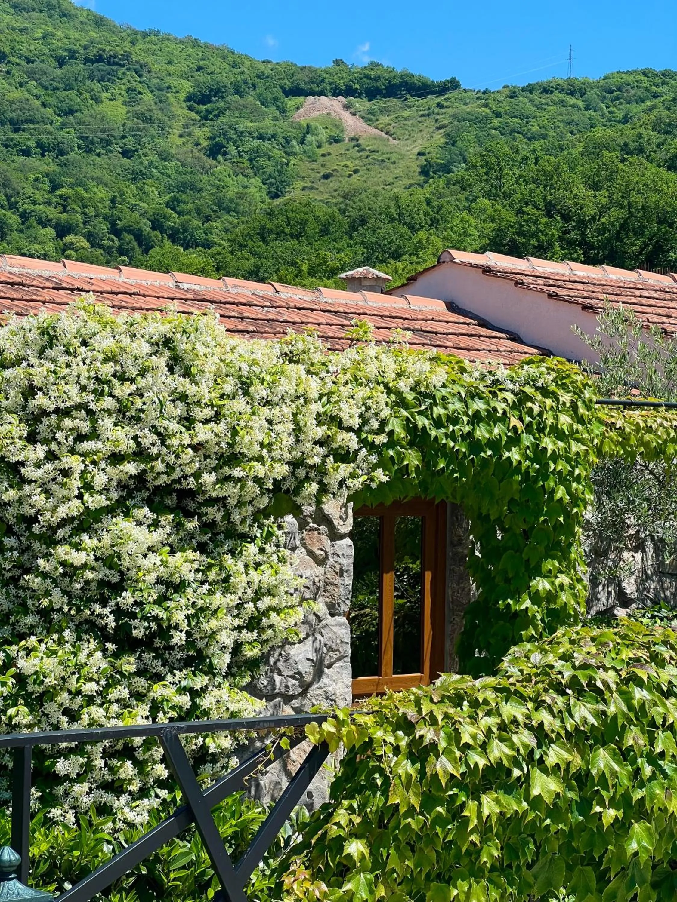 Garden in Hotel Opera Jaz