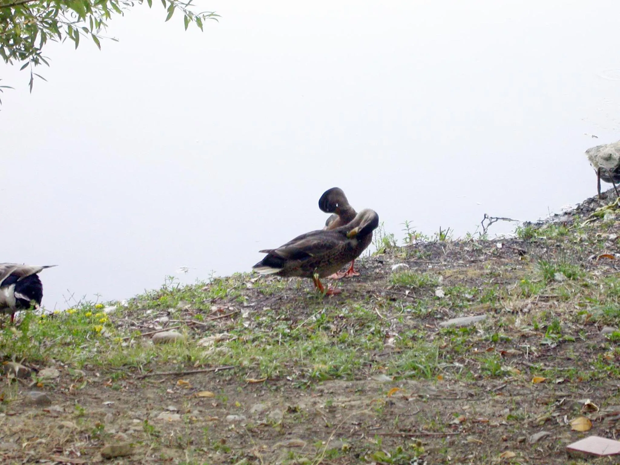 Nearby landmark in B&B Vintage