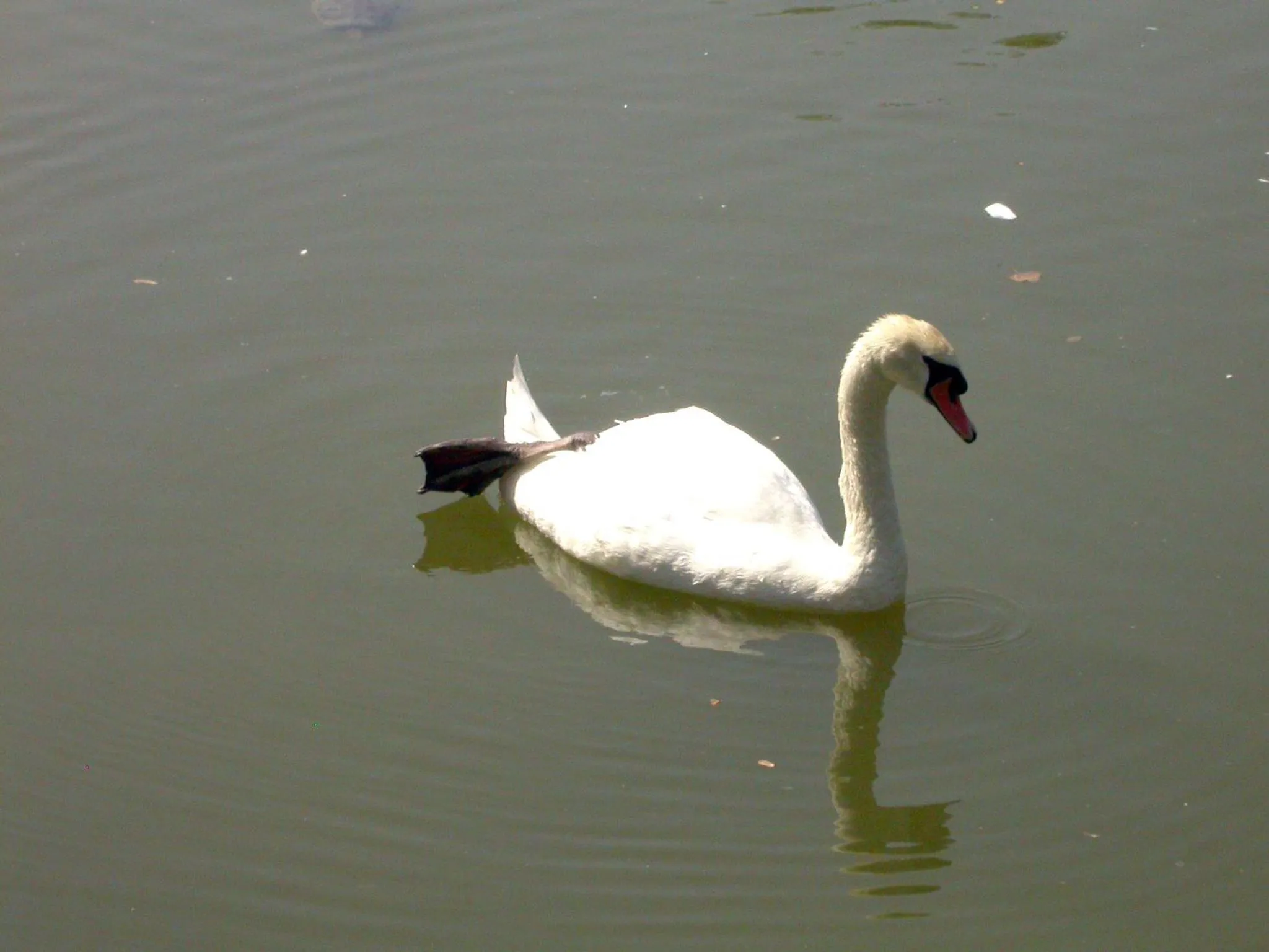 Nearby landmark in B&B Vintage