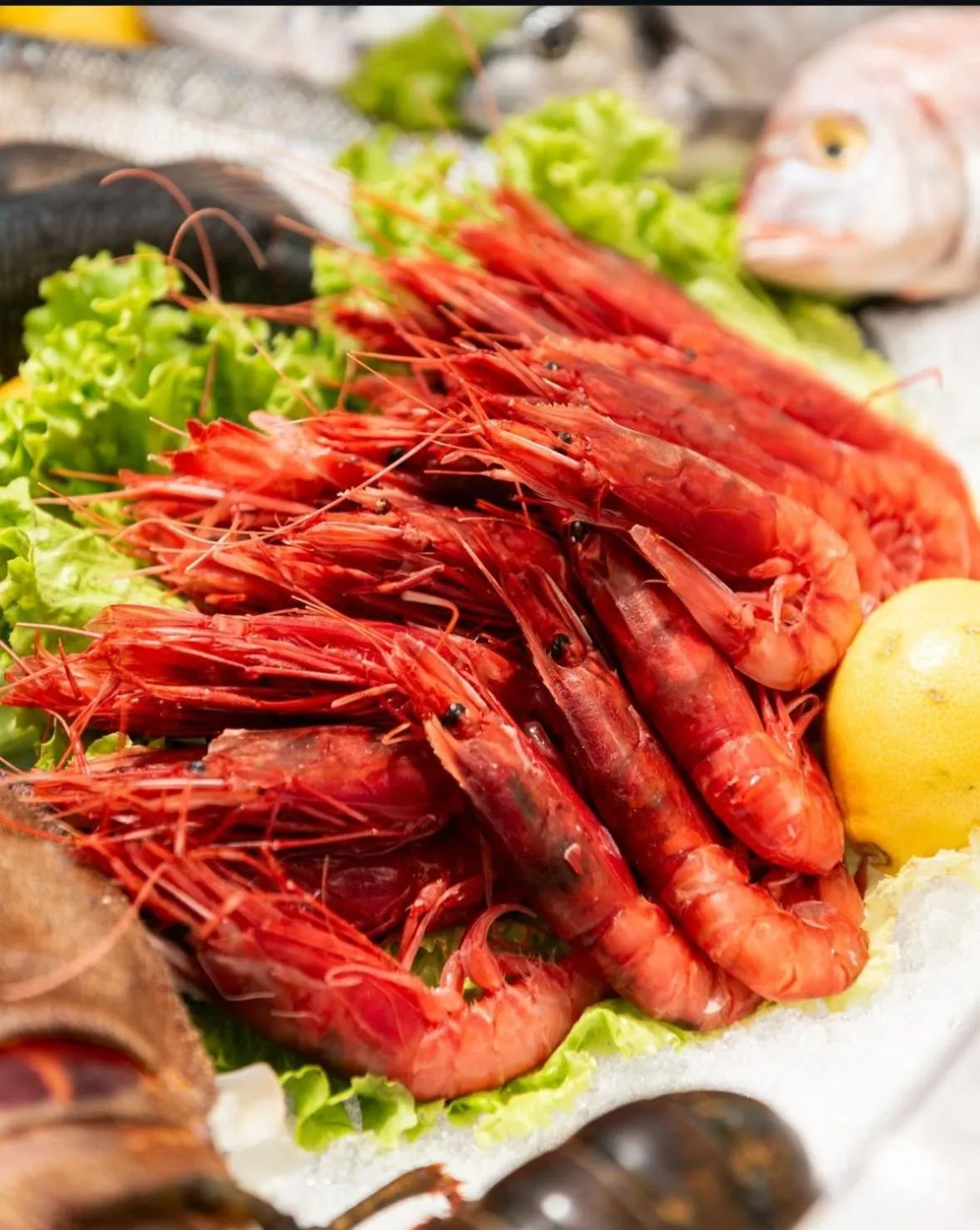 Food in Vila Lasko Hotel