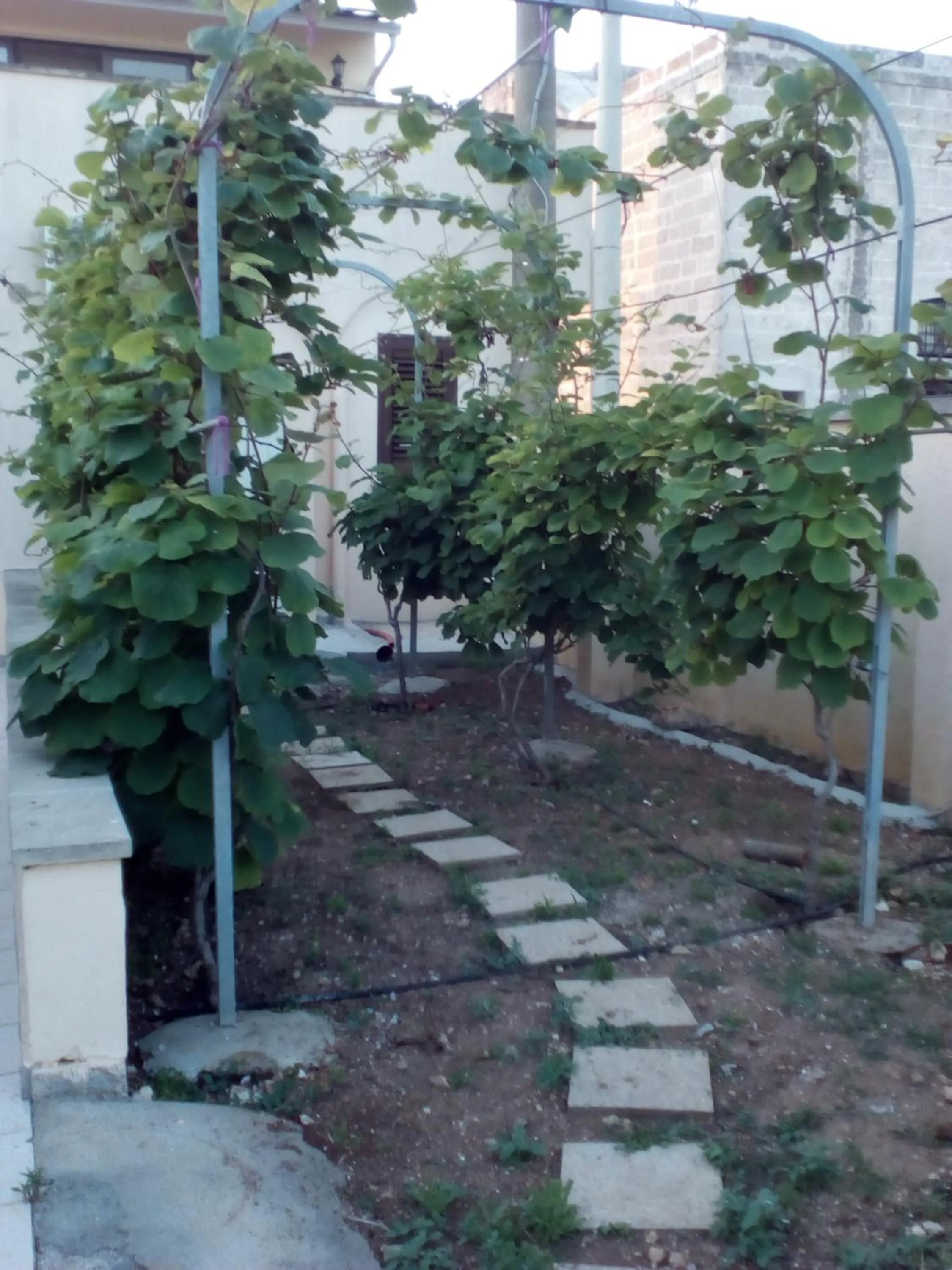 Garden in B&B Alicino