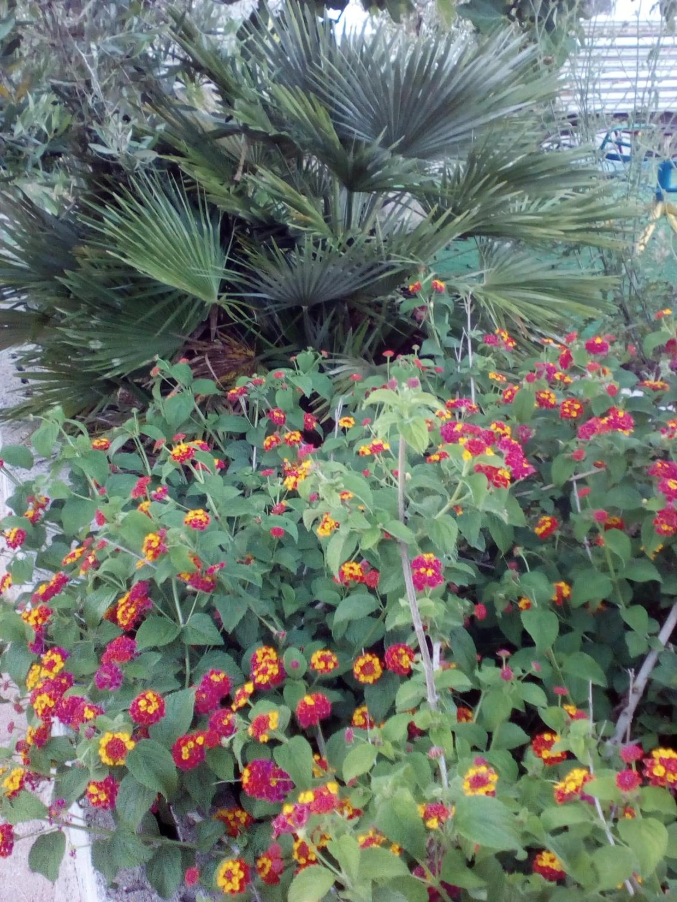 Spring in B&B Alicino