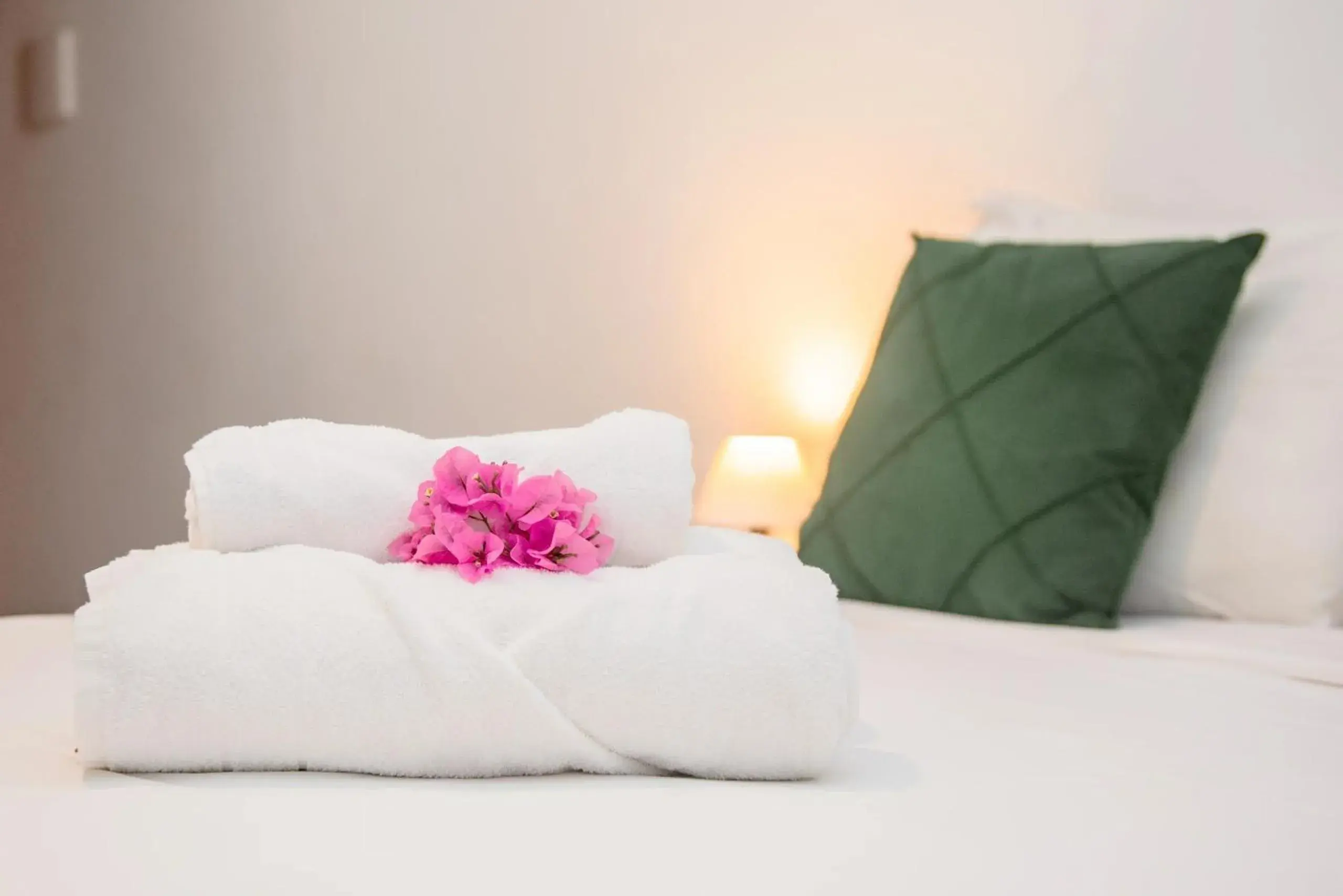 Standard Double Room in Pousada vila Riveira Standard Double Room in Pousada vila Riveira