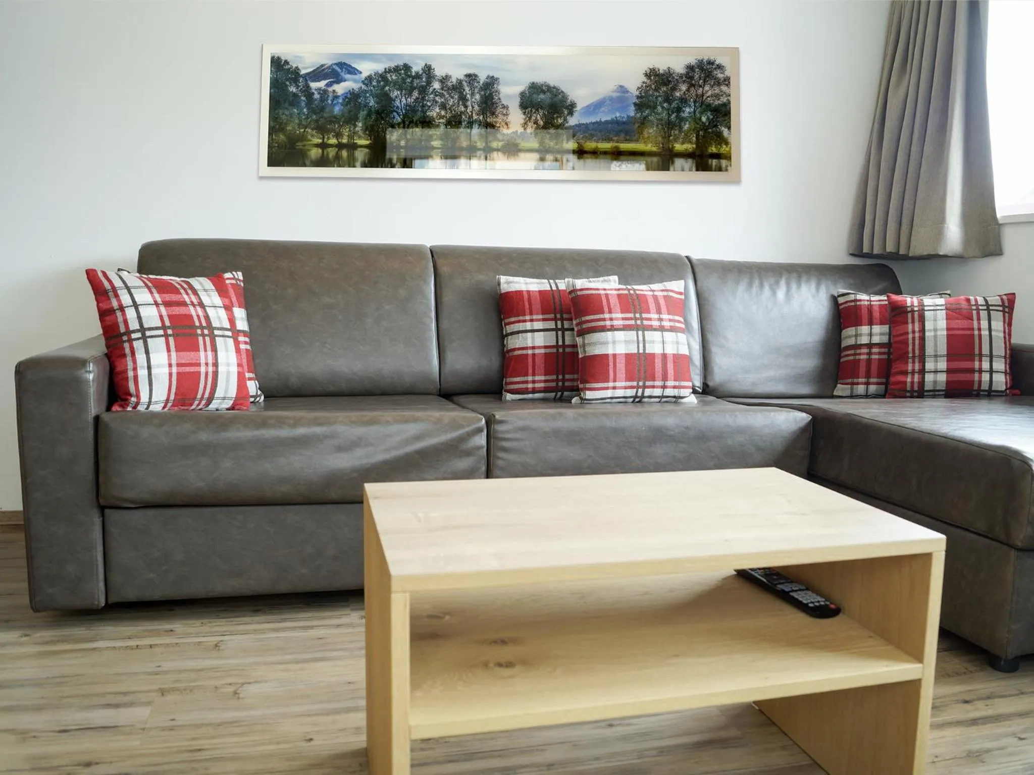 TV and multimedia in Pension Apartment Erna