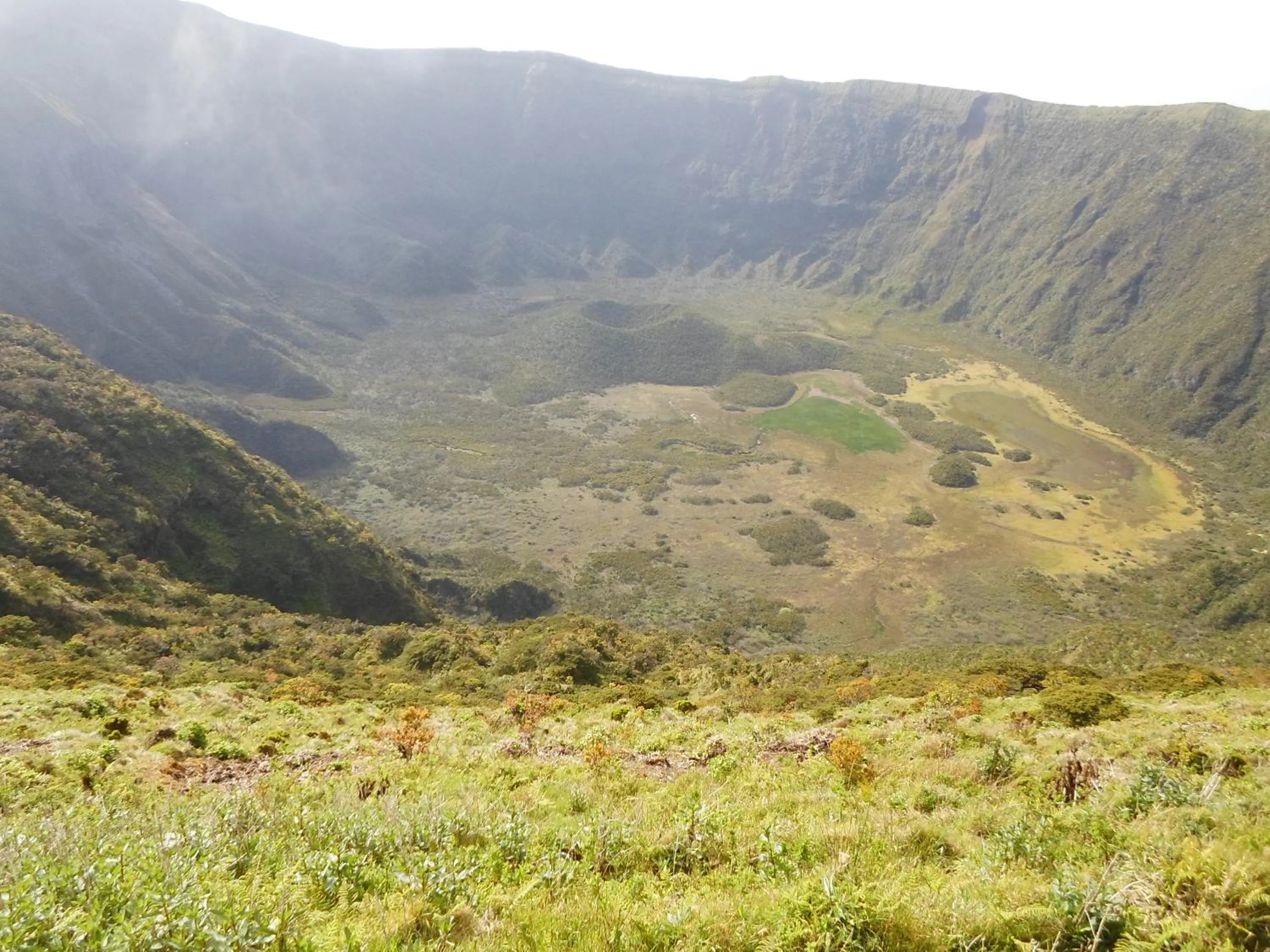 Natural landscape in Residência Machado
