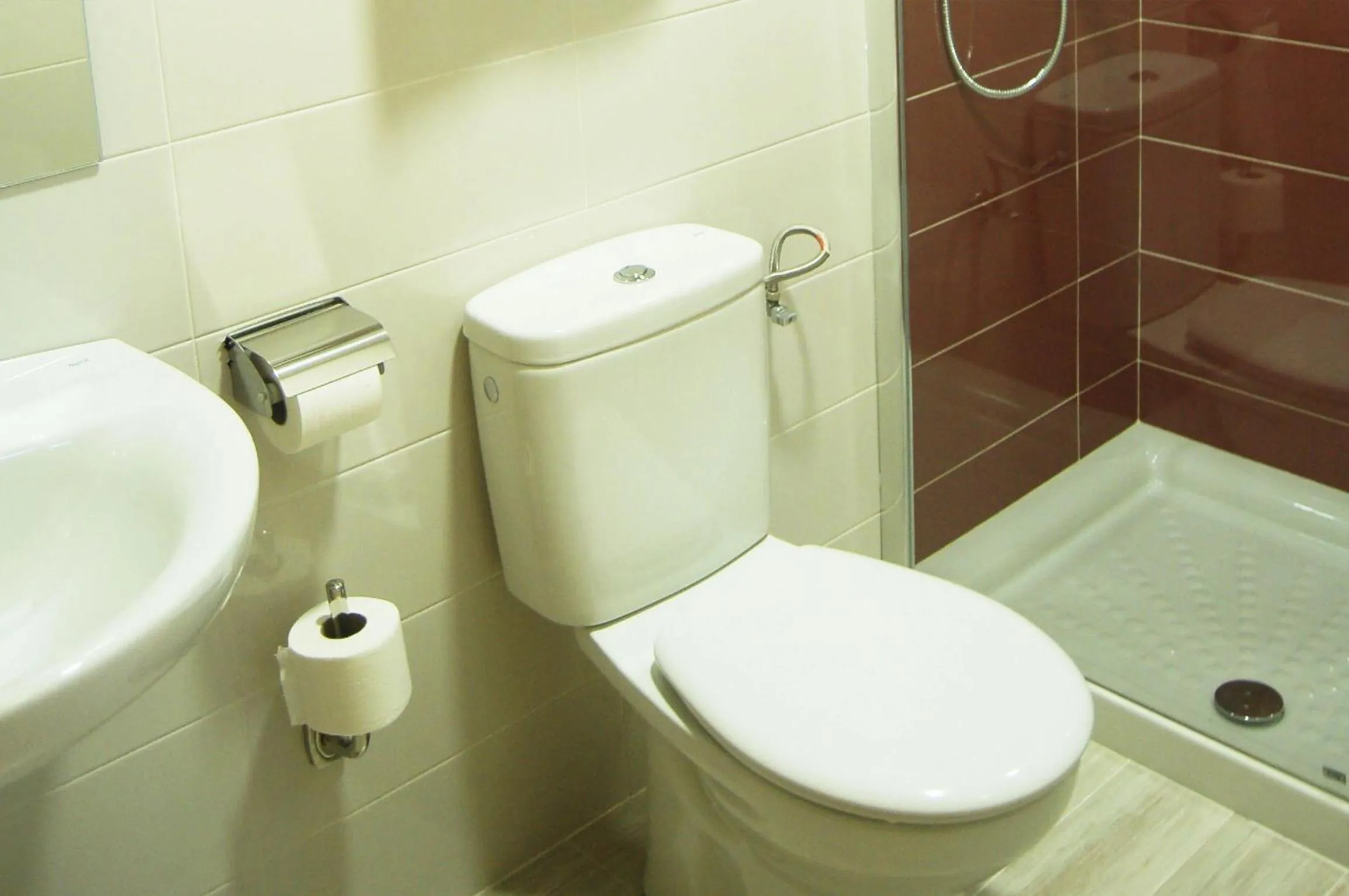 Toilet in Hotel Lupa