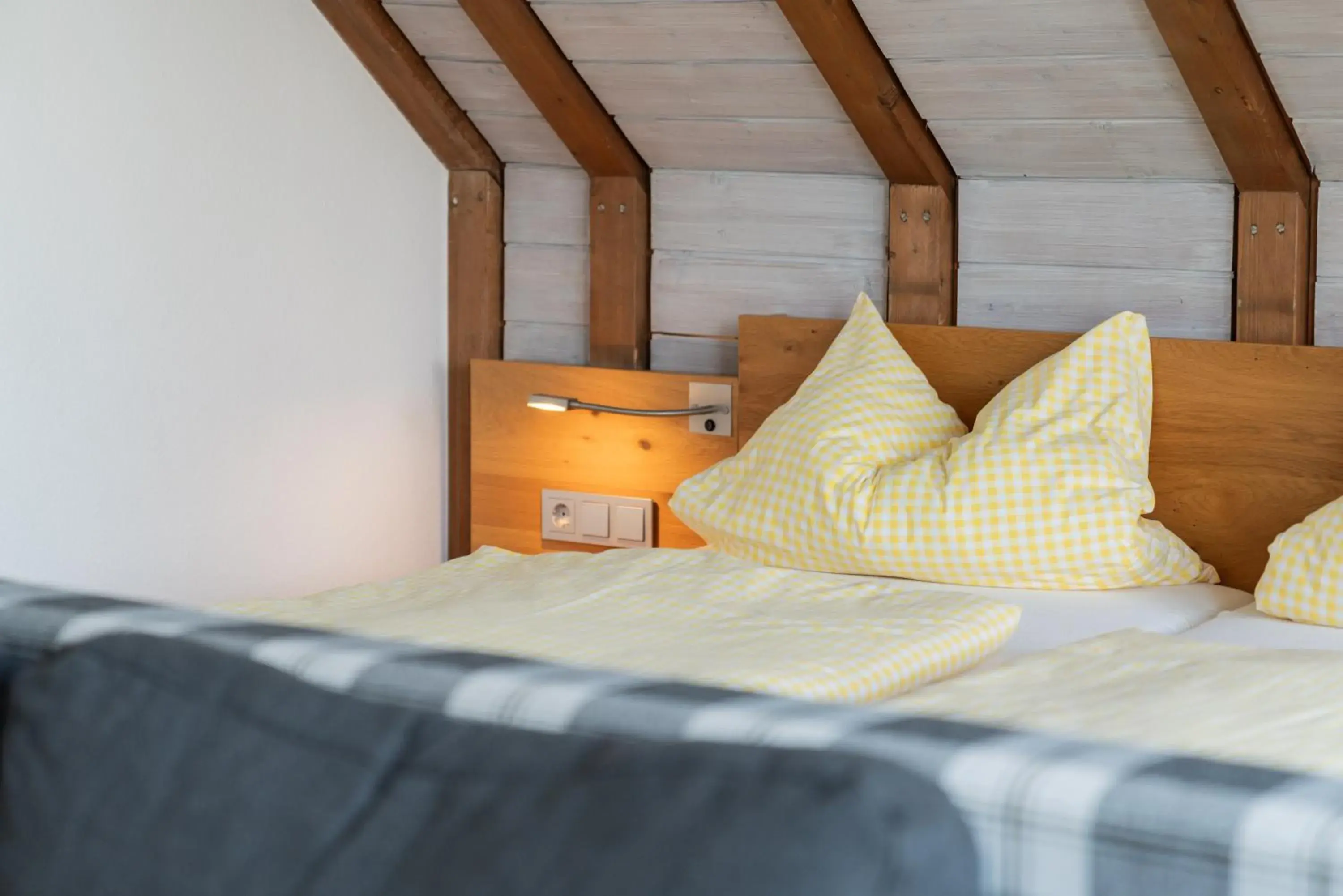 Single Room - single occupancy in Schwarzwald-Pension Fechtig Single Room - single occupancy in Schwarzwald-Pension Fechtig