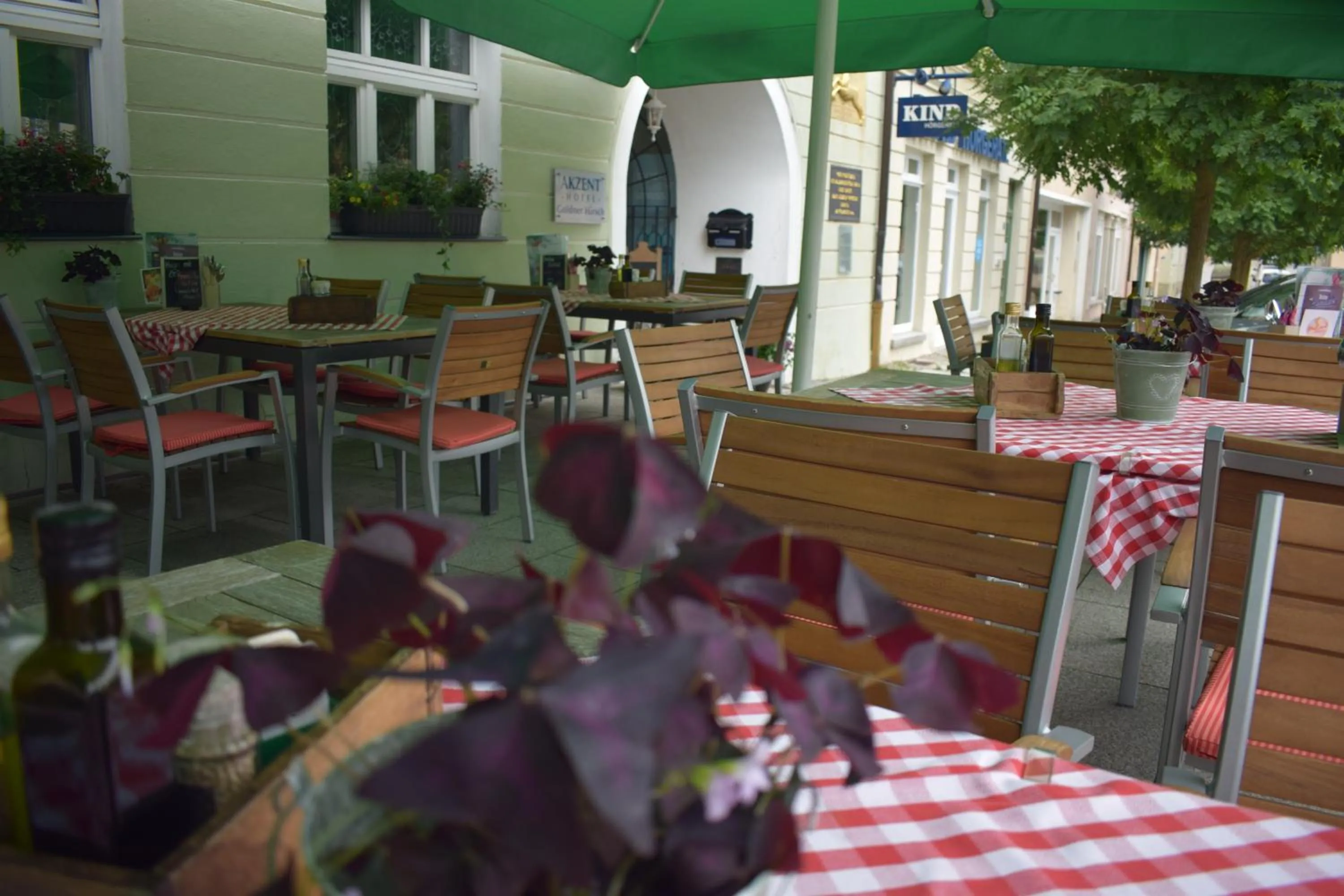 Balcony/Terrace in Akzent Hotel Goldner Hirsch
