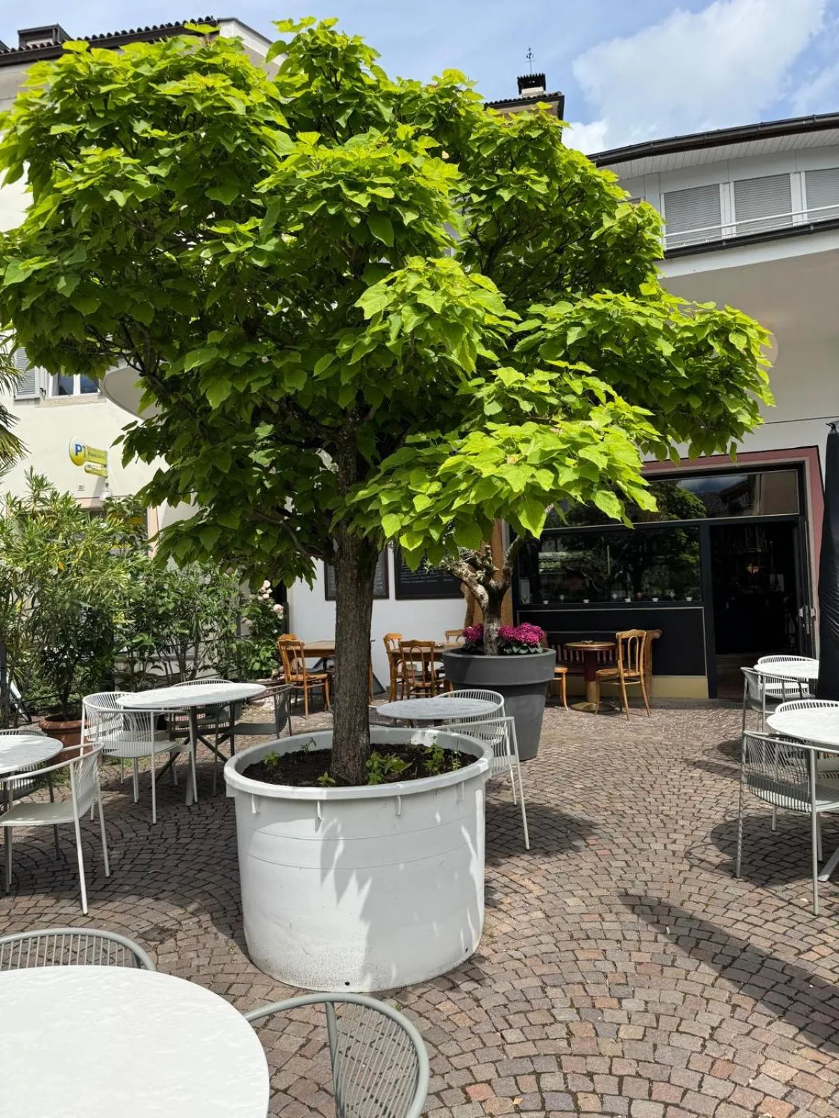 Balcony/Terrace in Hotel Zur Post