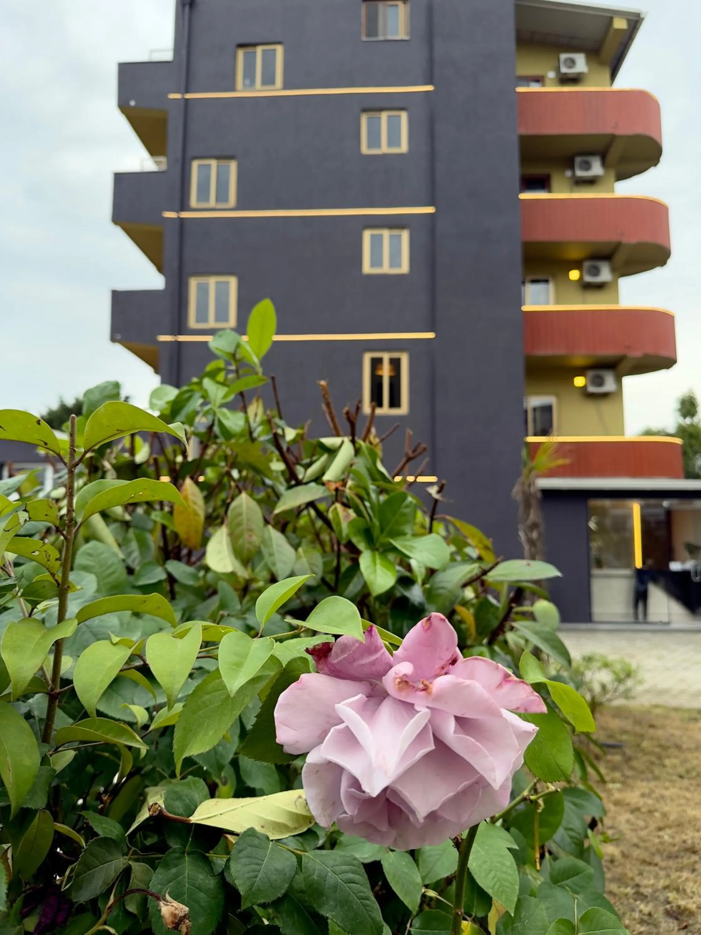KURTI Hotel