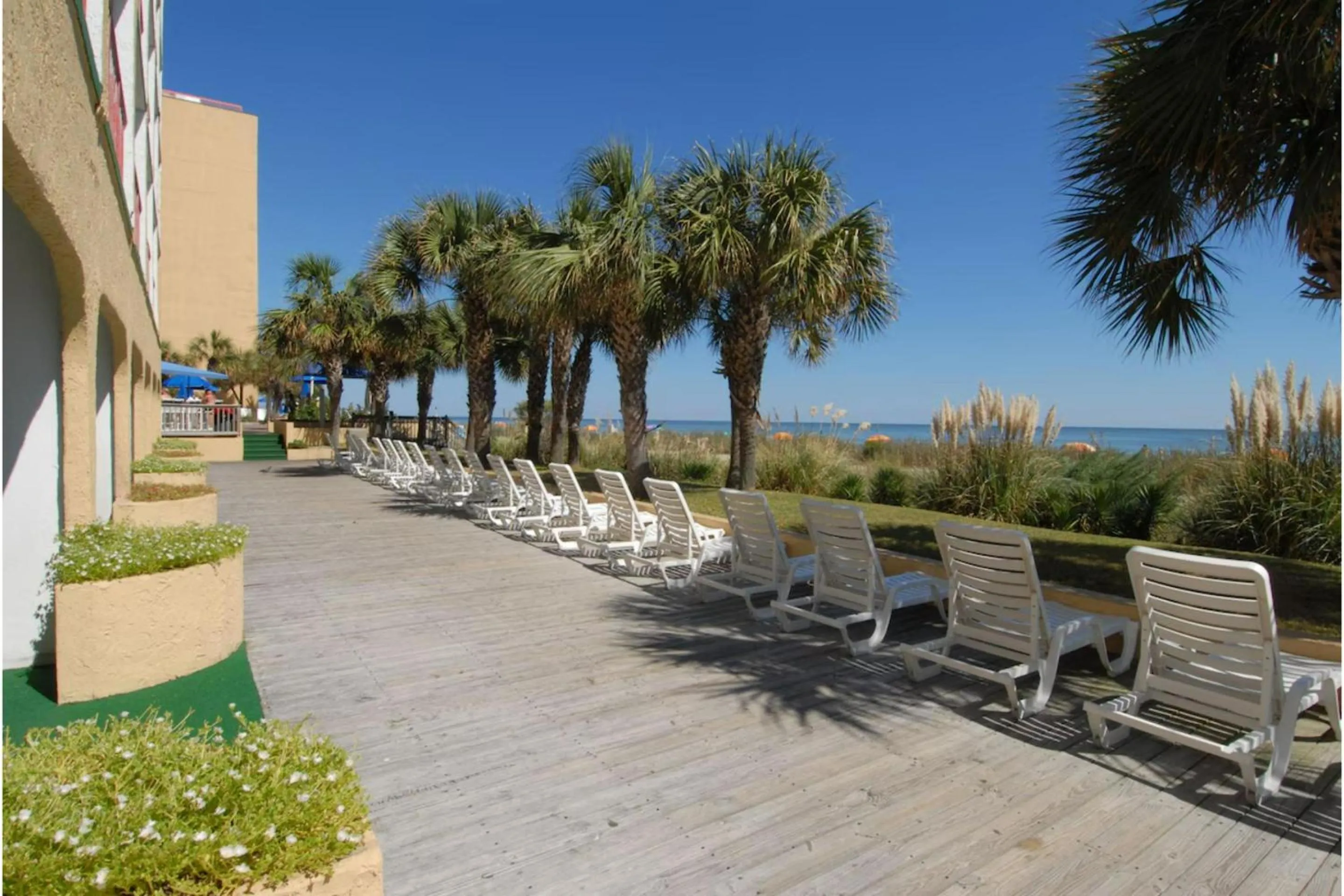 Area and facilities in Capital O Sunset Waves