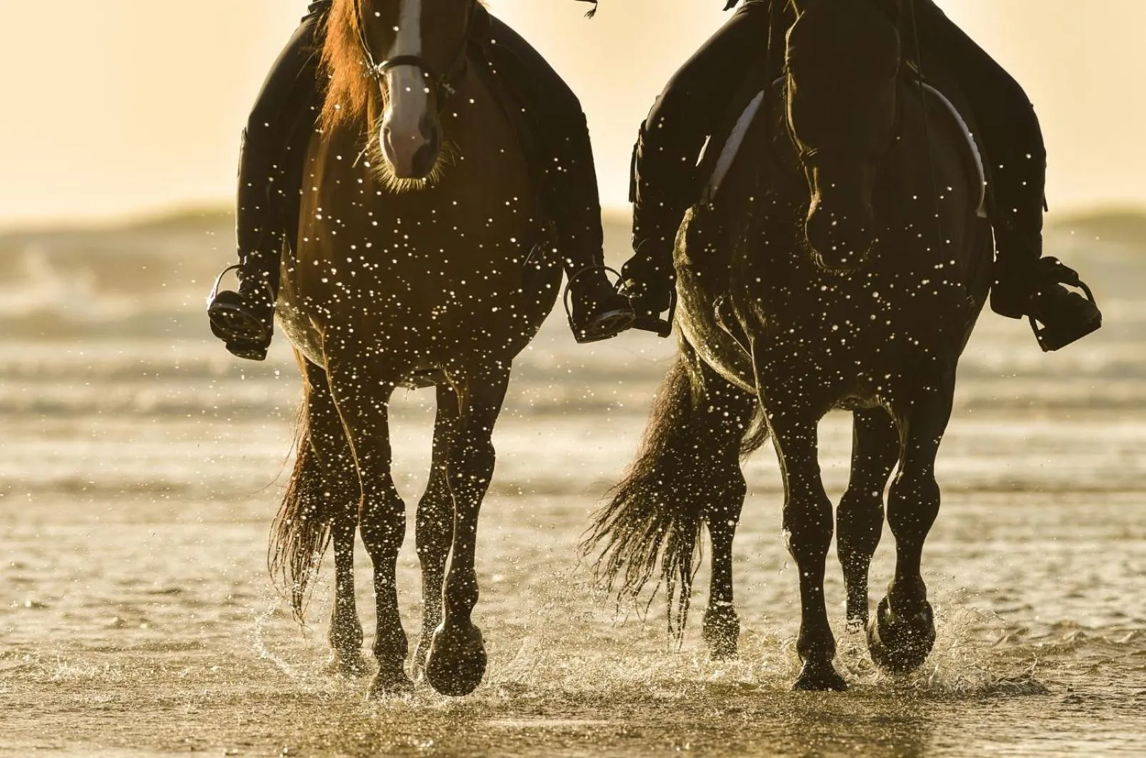 Nearby landmark in Niléa Island Living