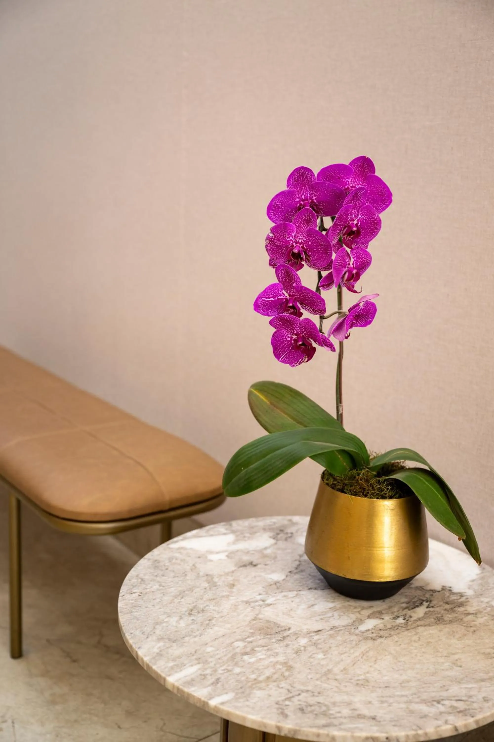 Decorative detail in One Rosebank Executive Apartment Hotel