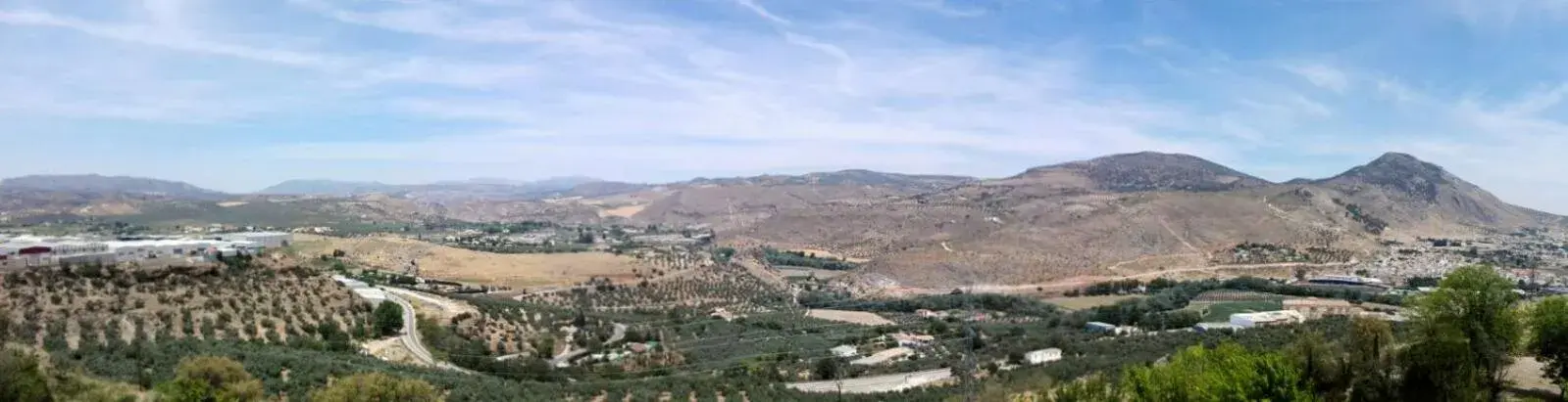 Natural landscape in Hotel Abades Manzanil Natural landscape in Hotel Abades Manzanil