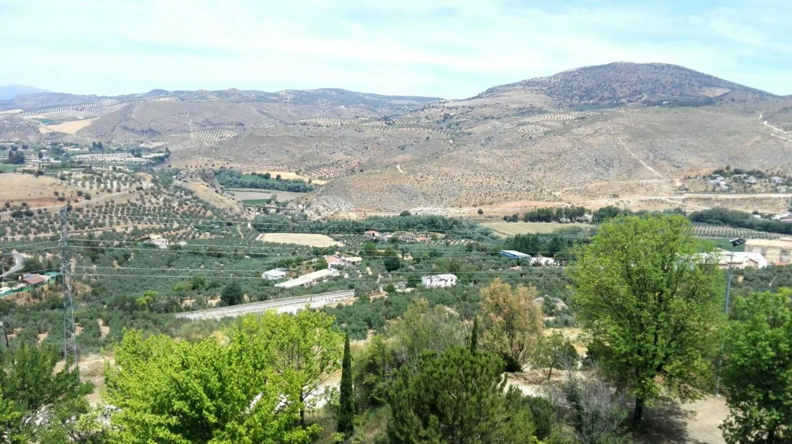 Natural landscape in Hotel Abades Manzanil