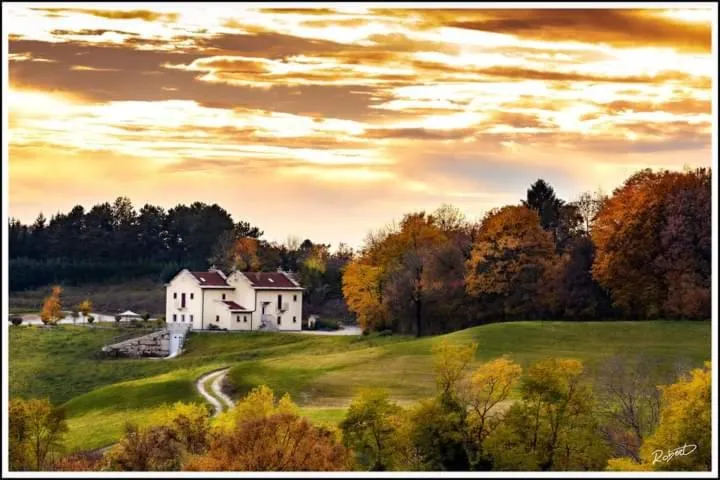 Property building in Malga Zebari