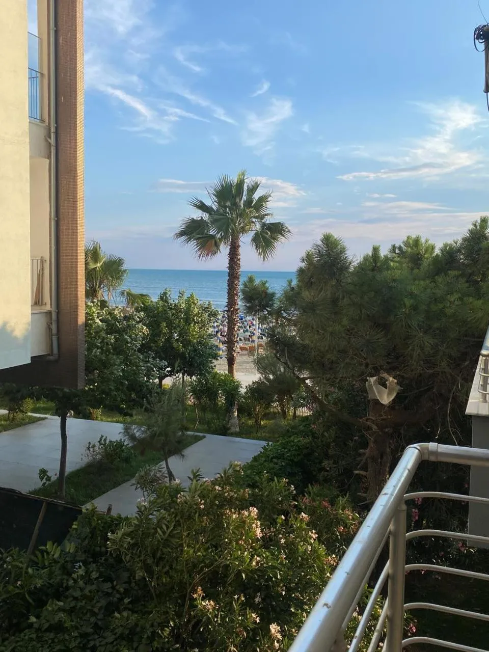 Natural landscape in Rumar Hotel