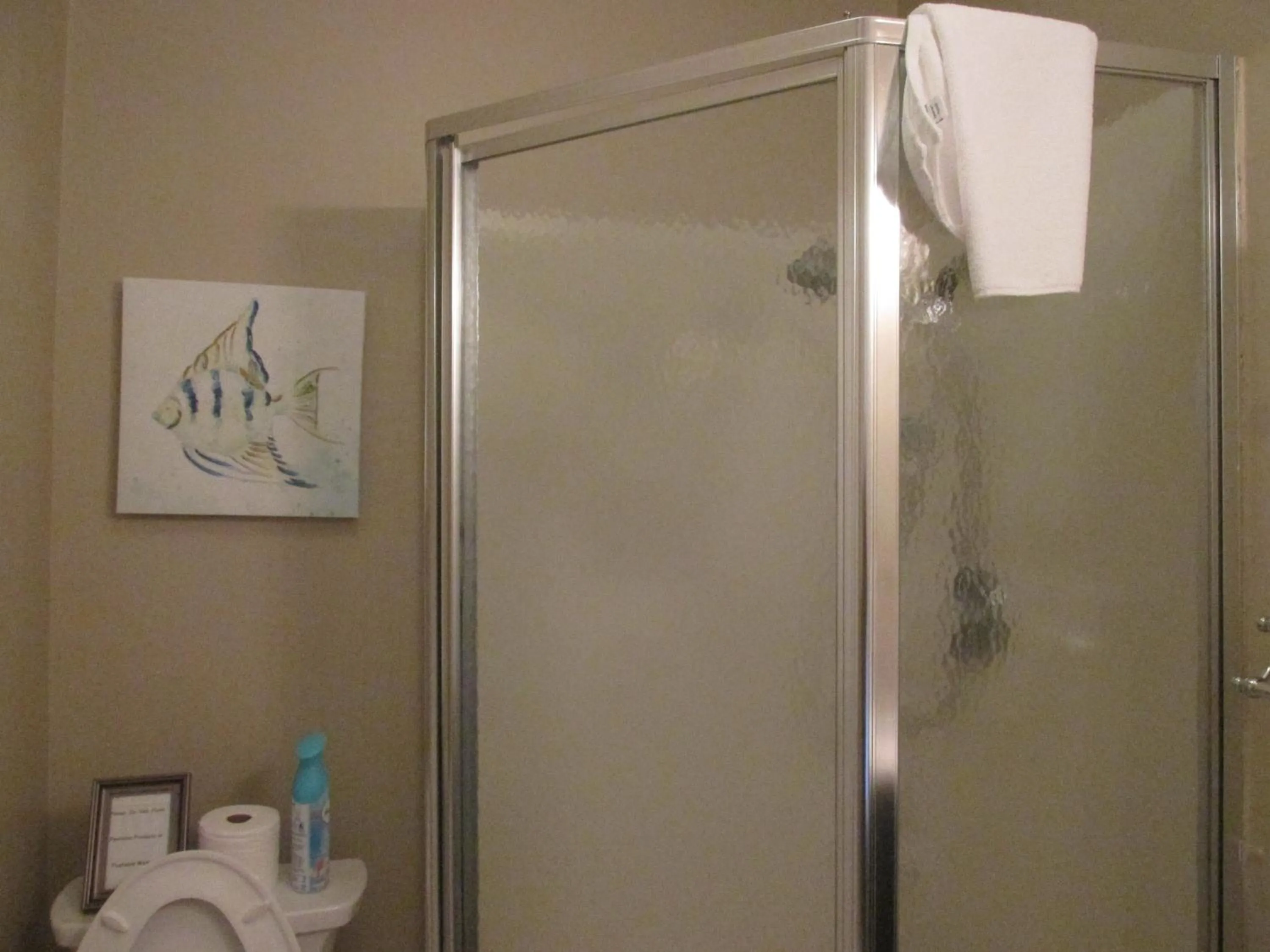 Shower in The Charleston Inn Hendersonville NC