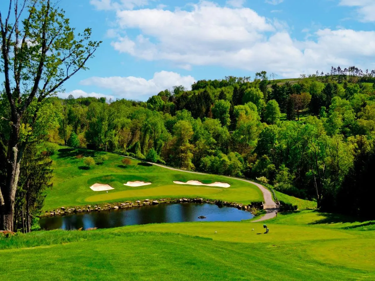 View (from property/room) in Oglebay Resort