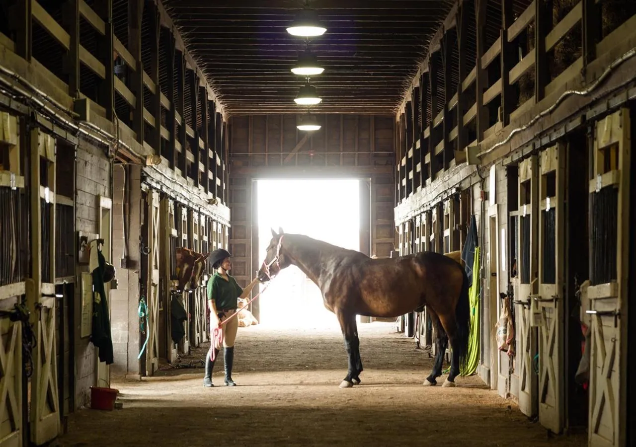 Horse-riding in Oglebay Resort
