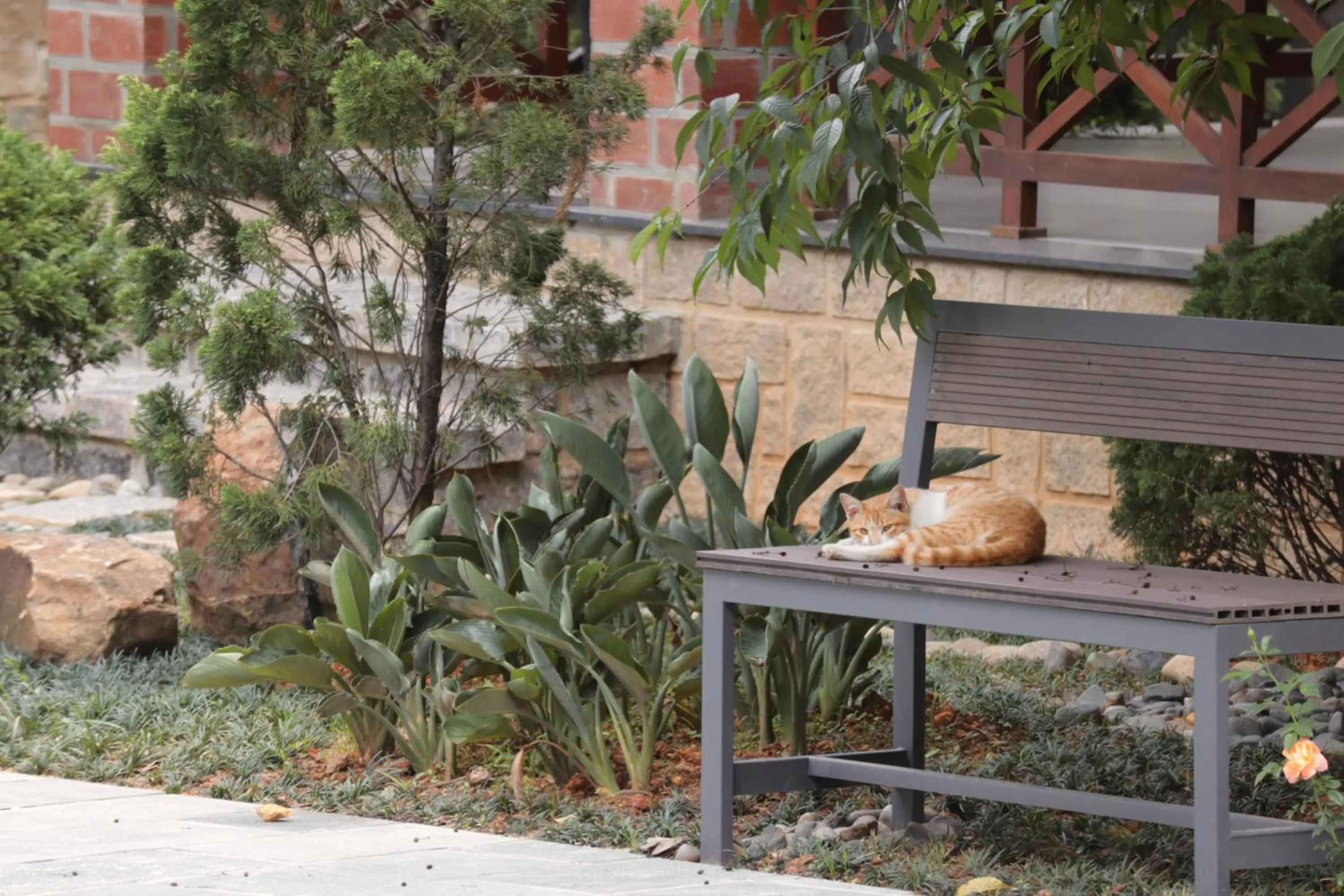 Spring in Hoang Loc Villa