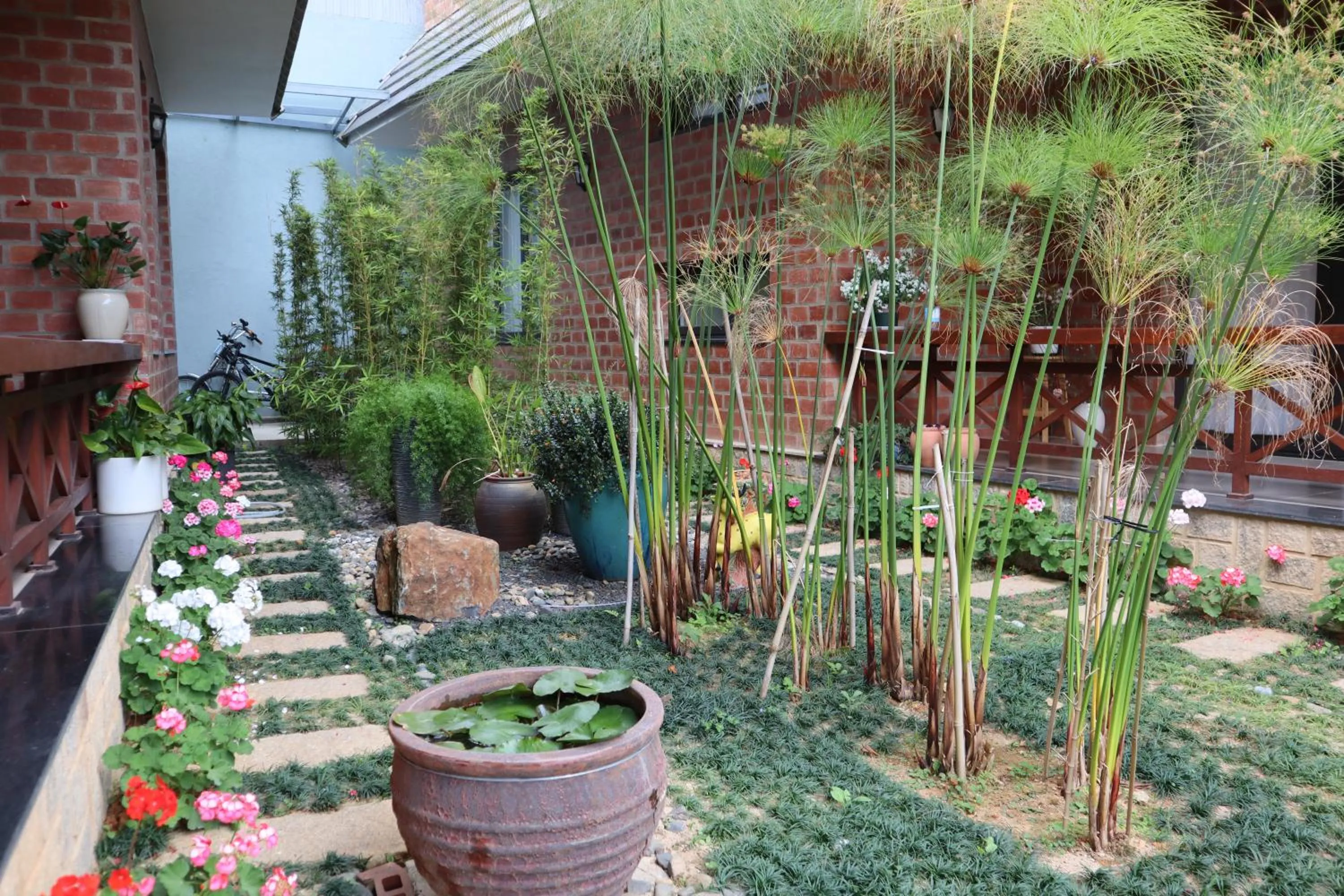 Spring in Hoang Loc Villa