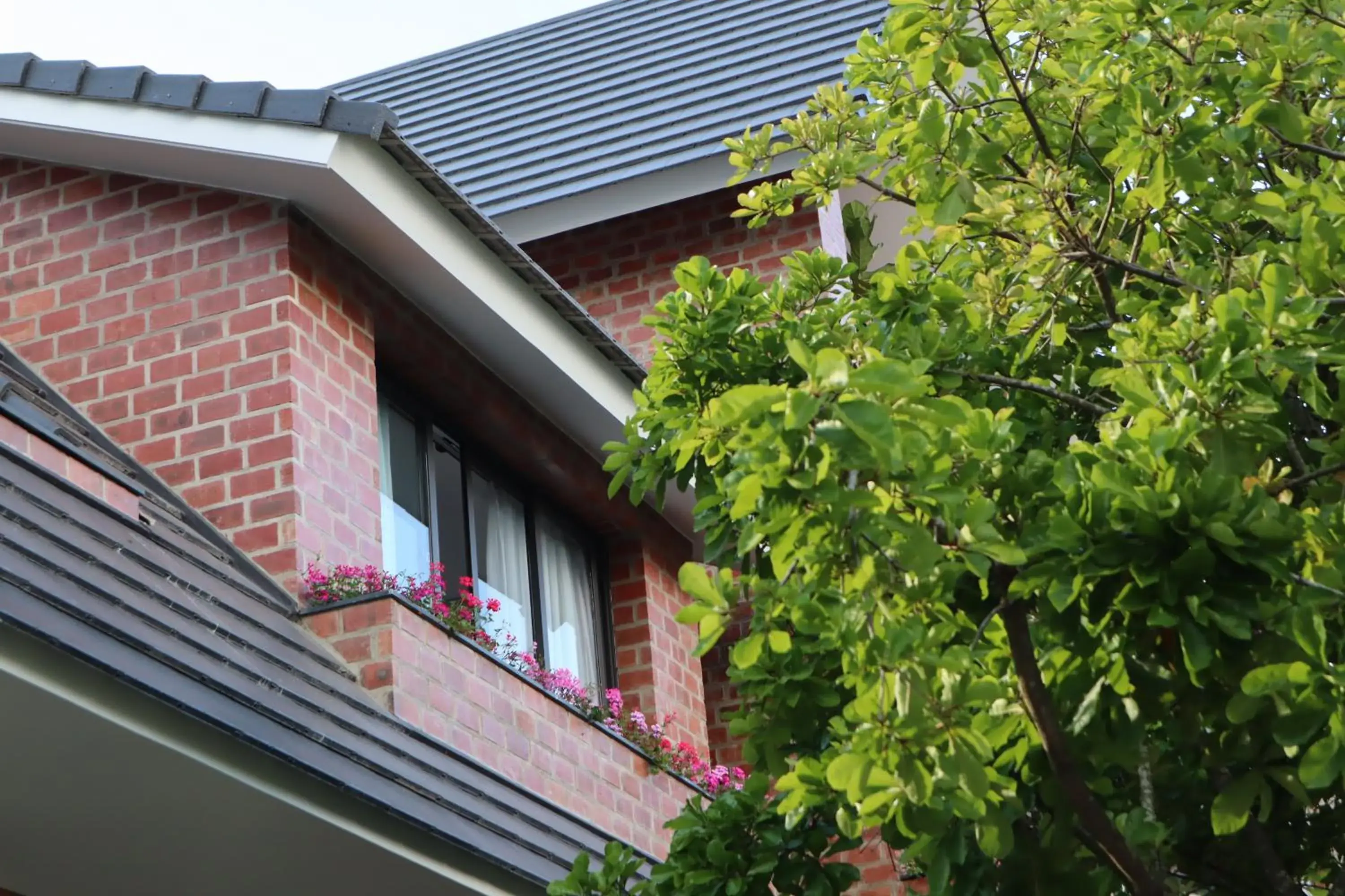 Property building in Hoang Loc Villa Property building in Hoang Loc Villa