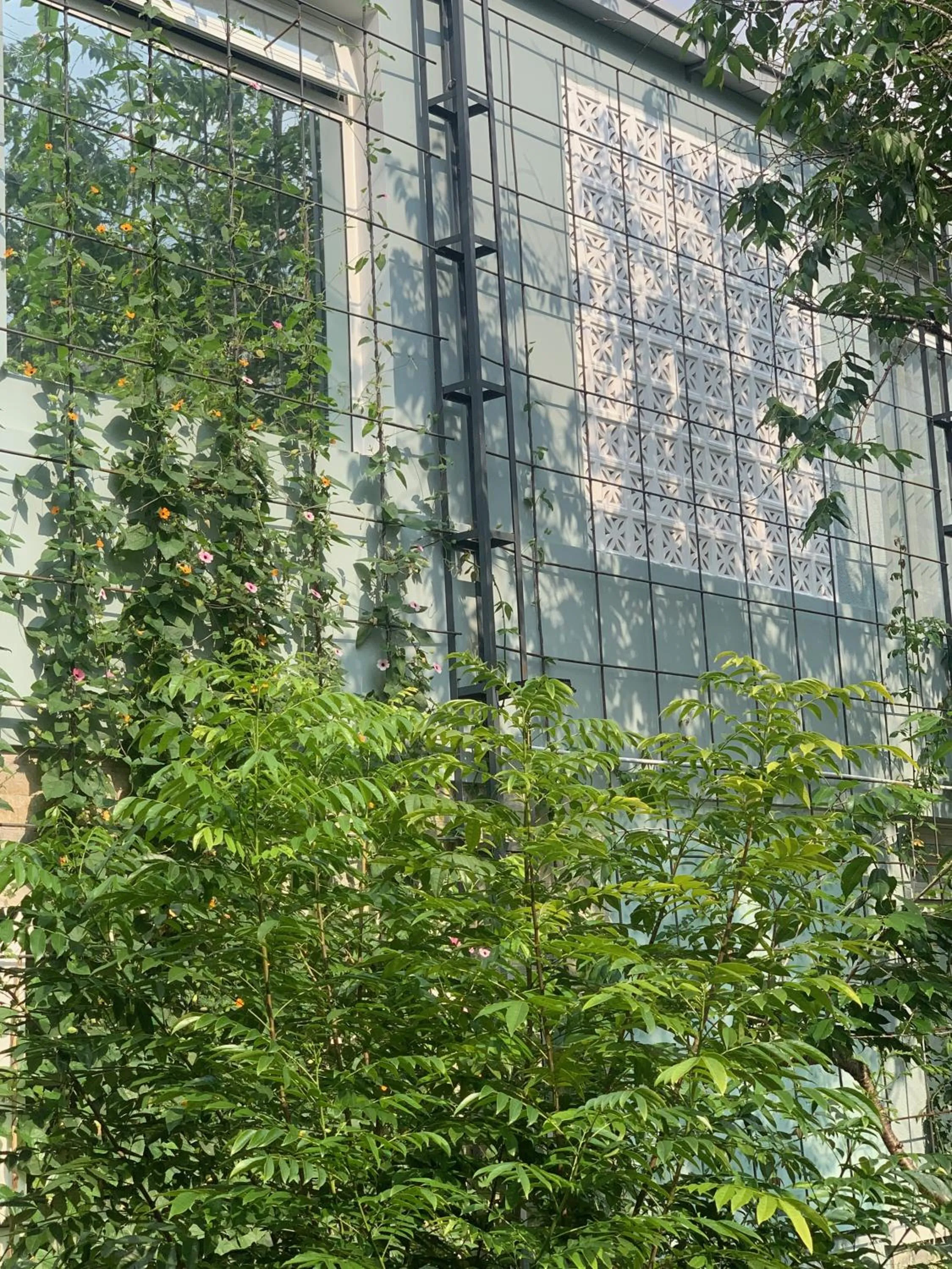 Spring in Hoang Loc Villa