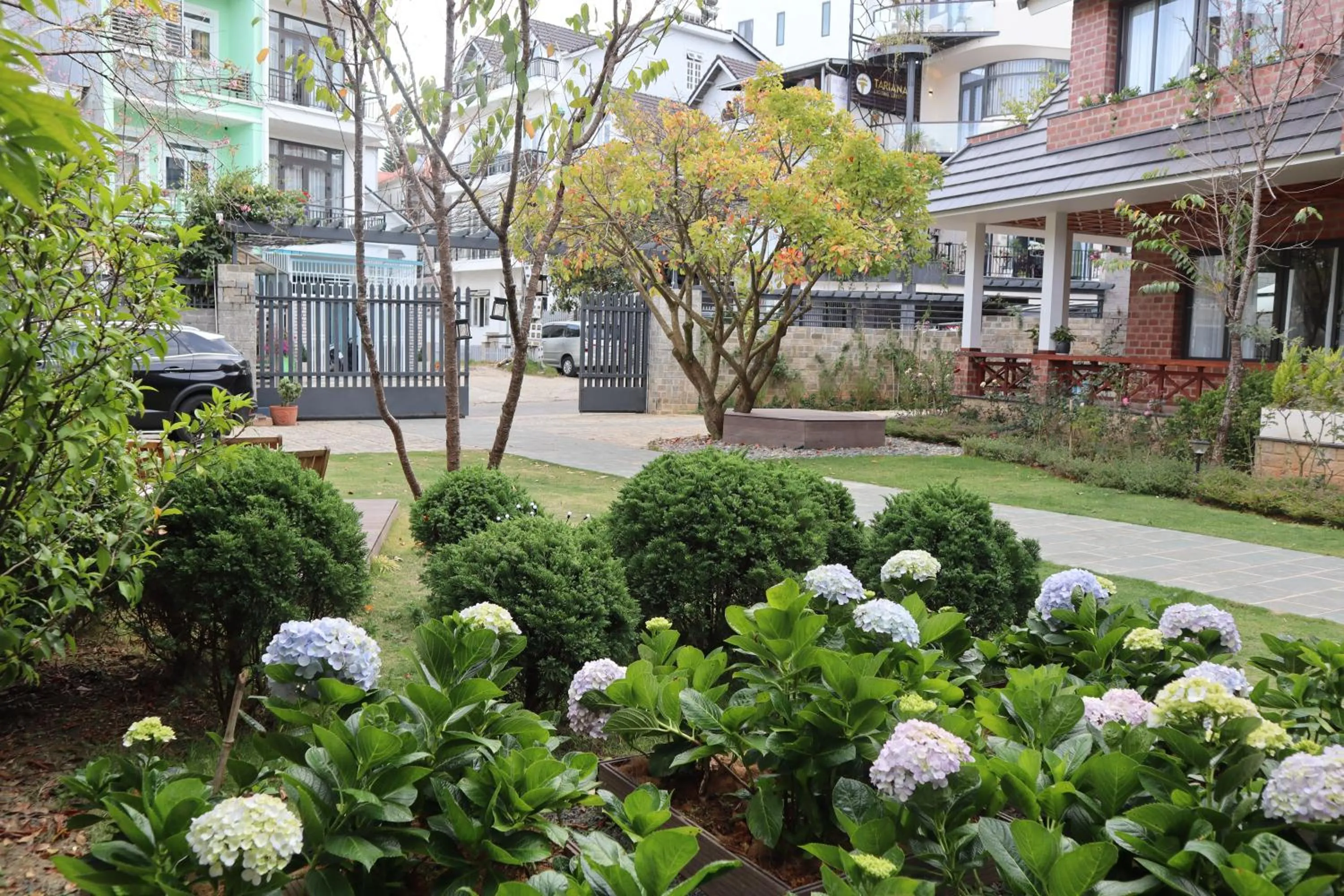 Spring in Hoang Loc Villa