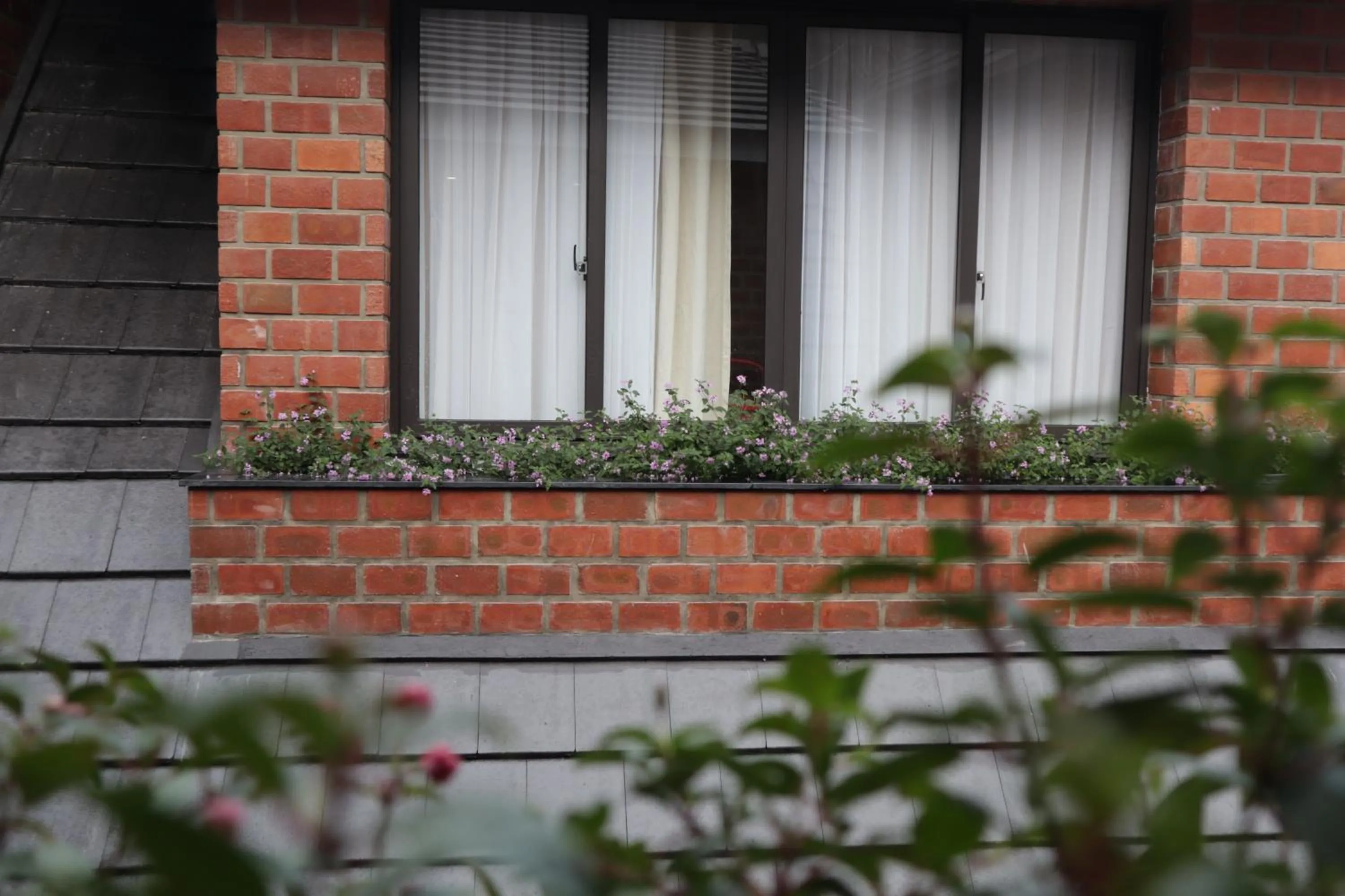 View (from property/room) in Hoang Loc Villa