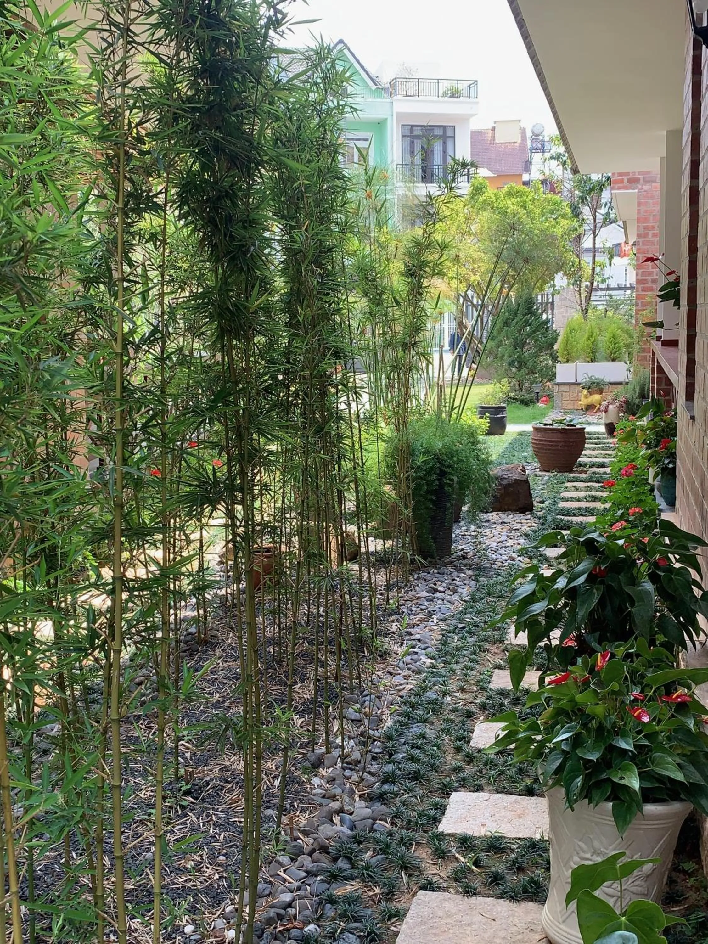 Spring in Hoang Loc Villa